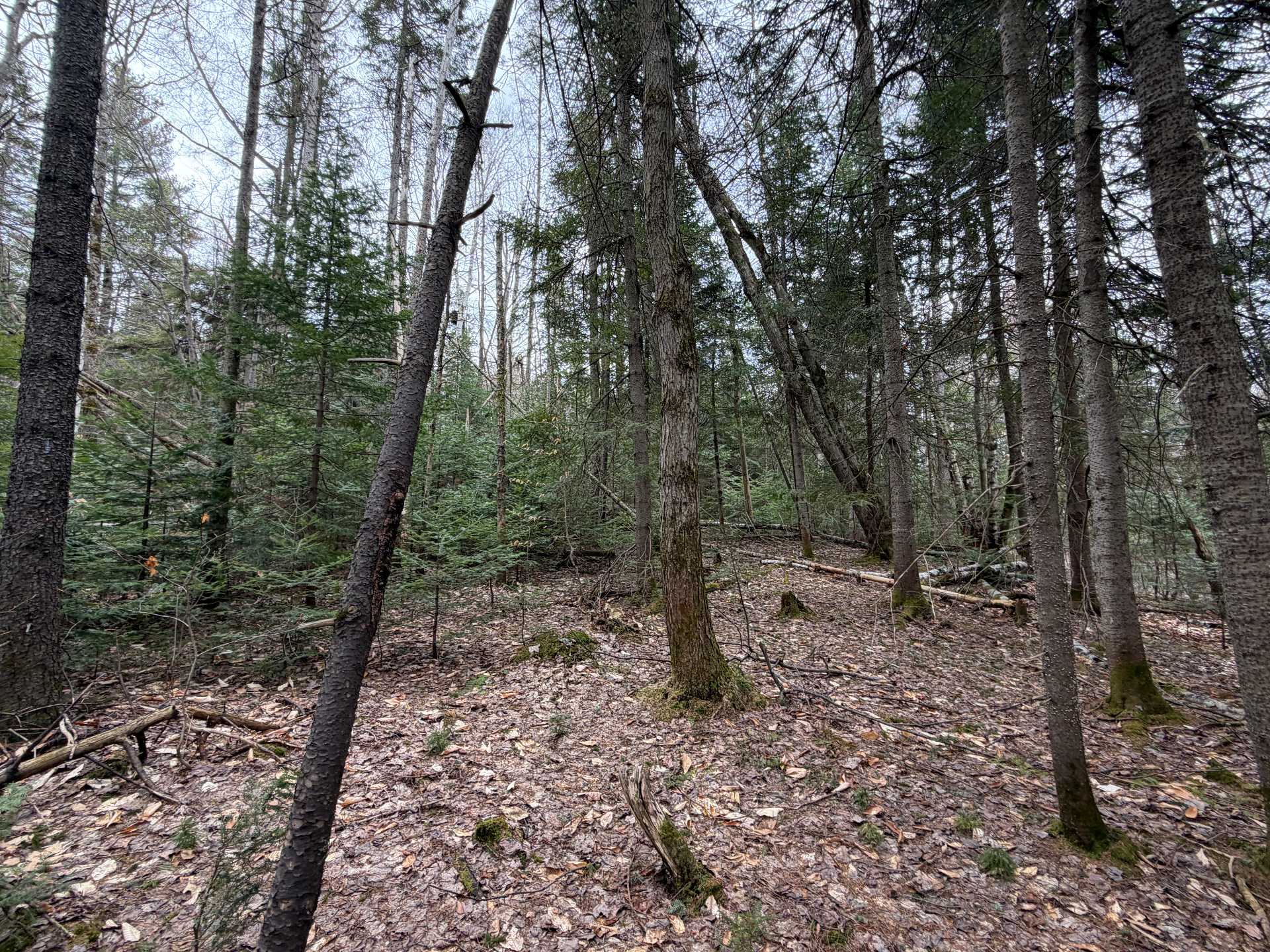 Terre/Terrain