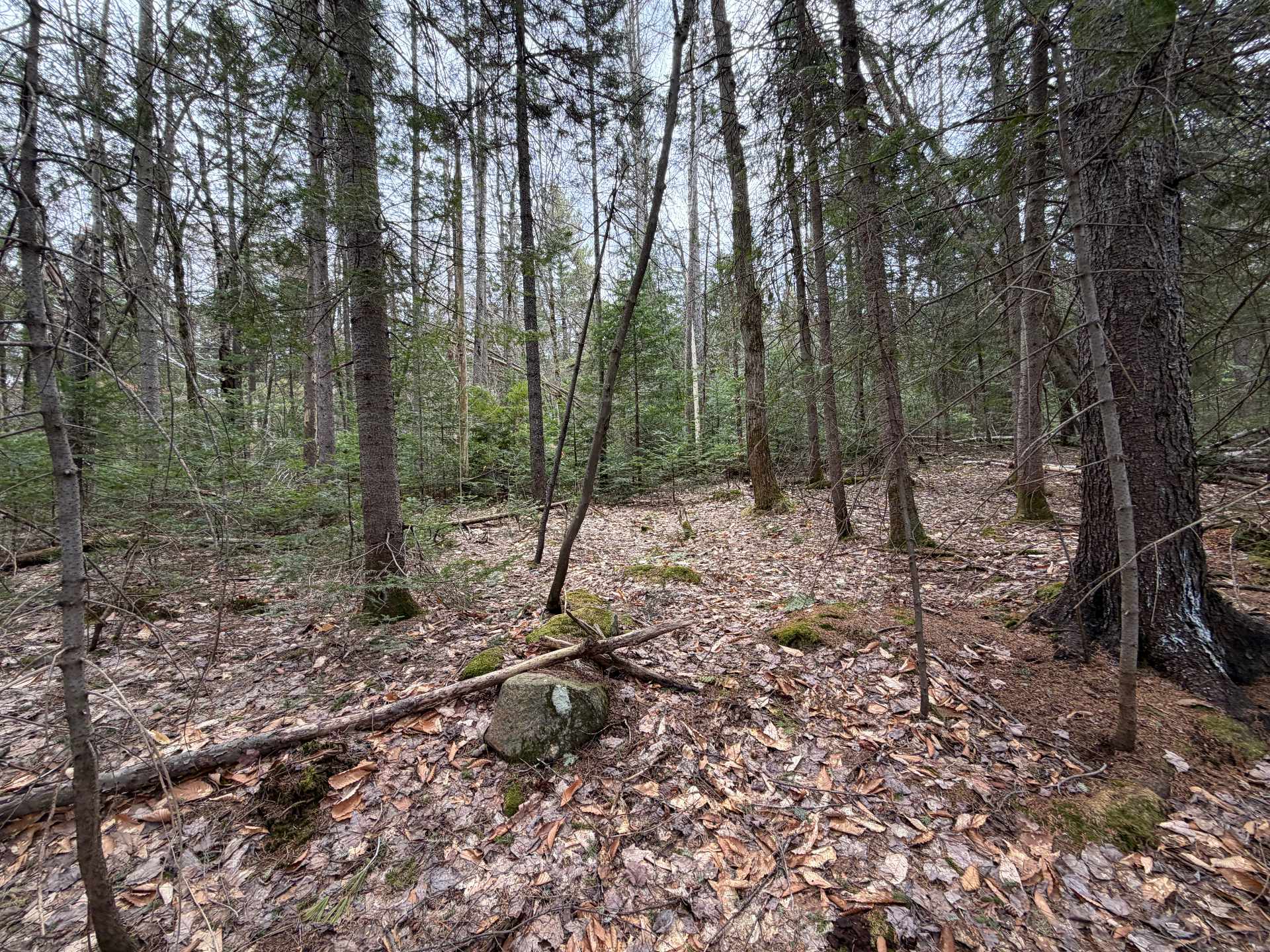 Terre/Terrain