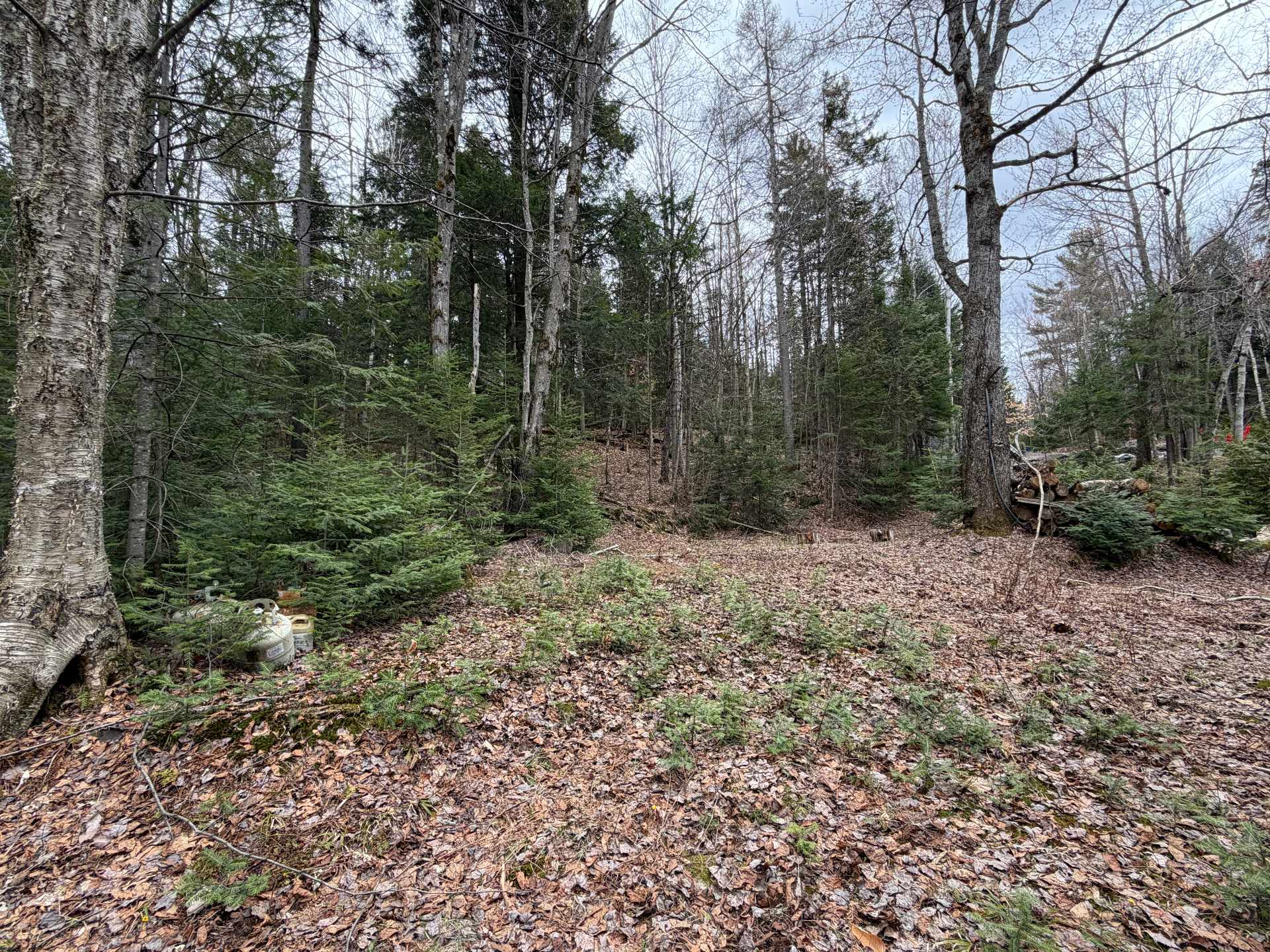 Terre/Terrain