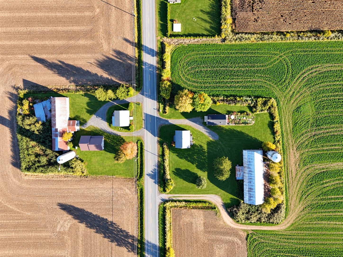 Aerial photo