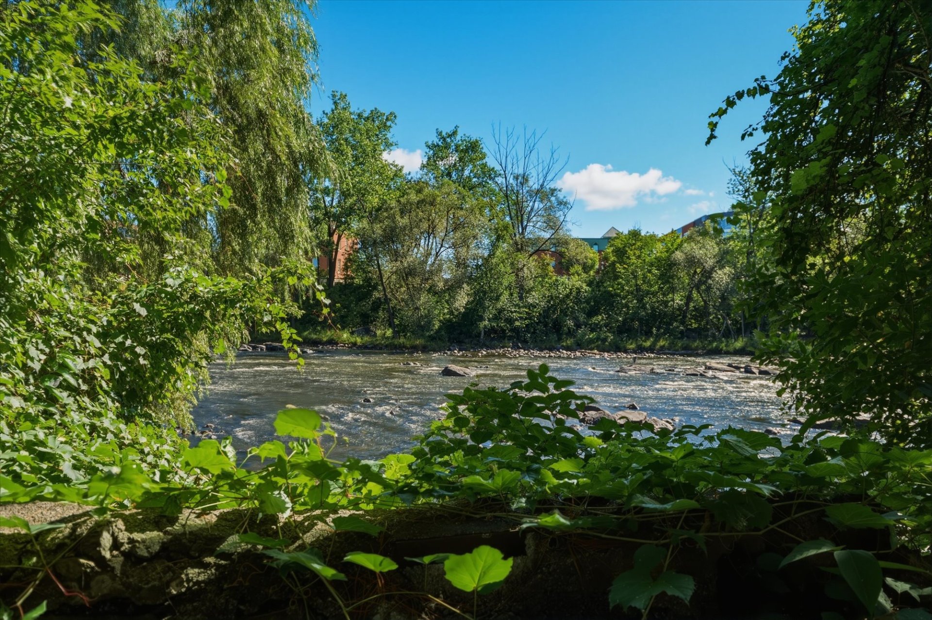 Rivière du Nord