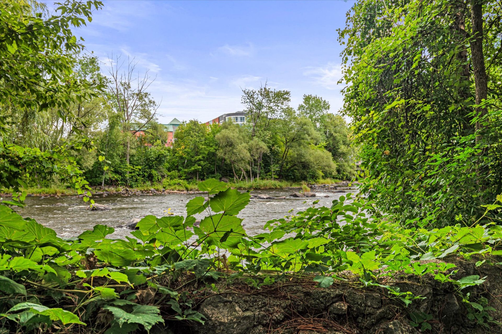 Rivière du Nord