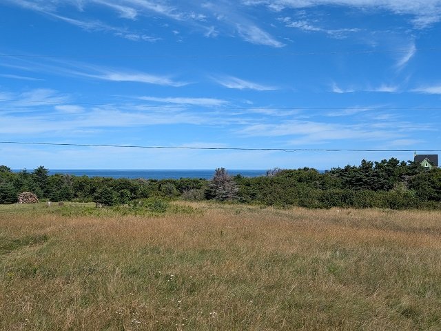 Terre/Terrain