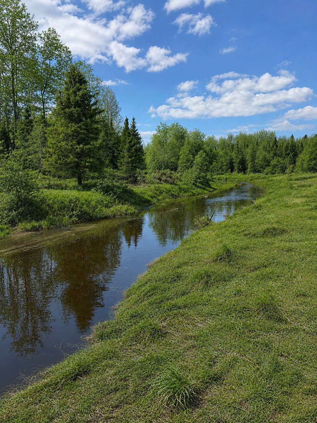 Accès au plan d'eau
