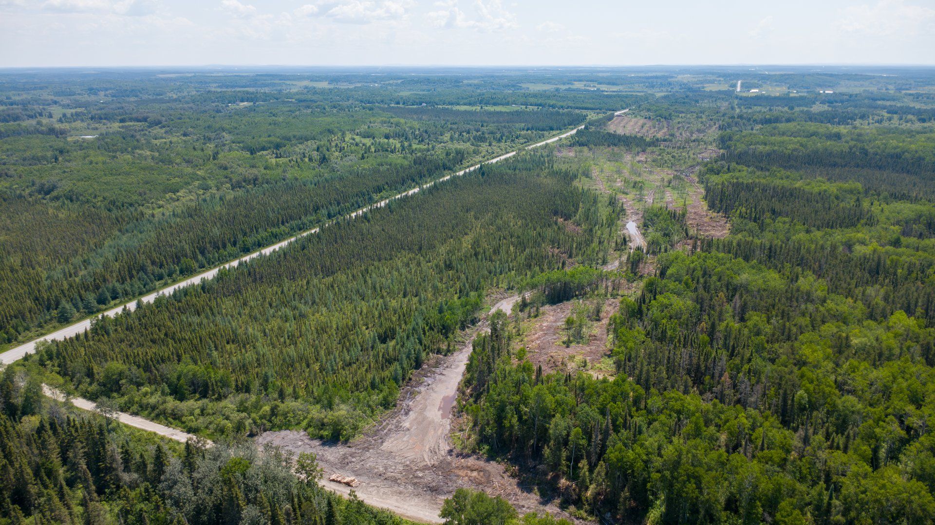 Land/Lot