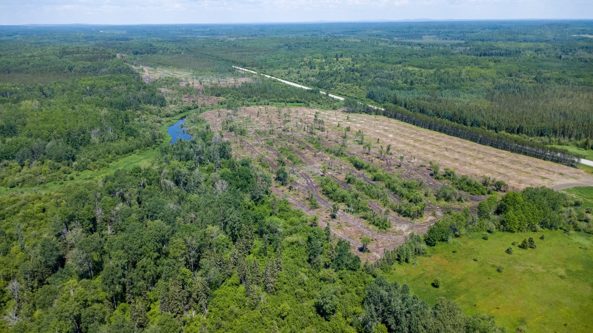 Land/Lot