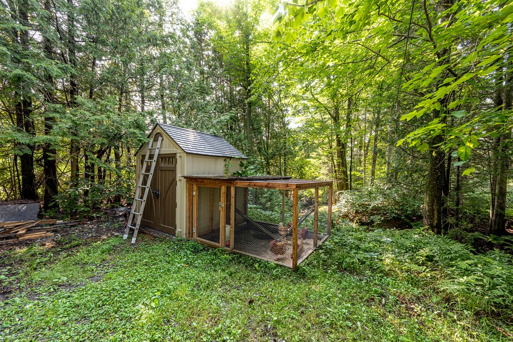 Shed