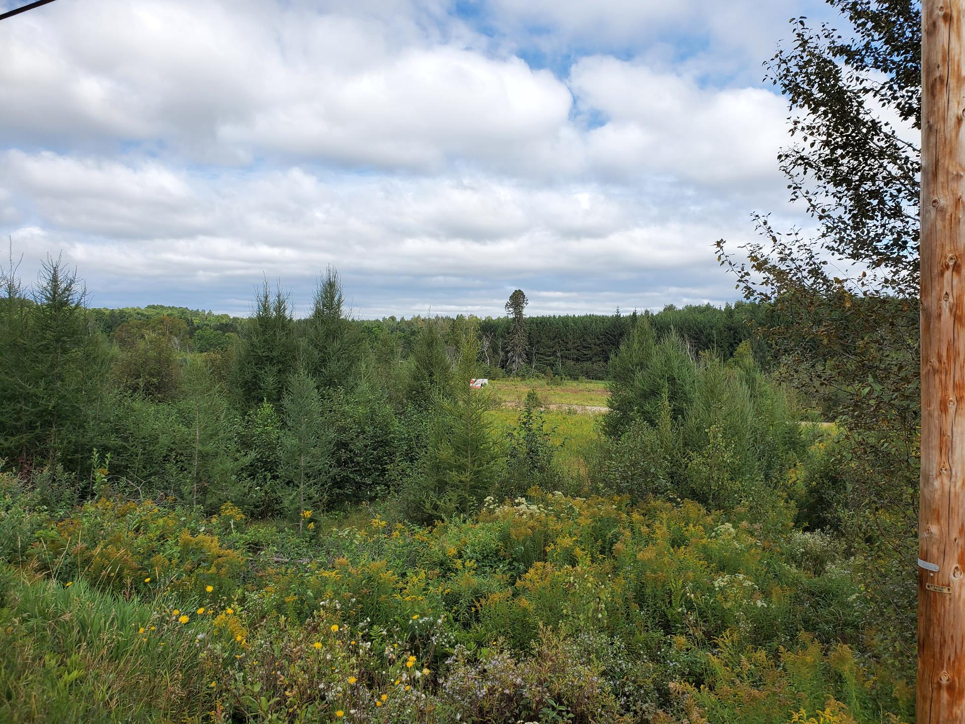 Terre/Terrain