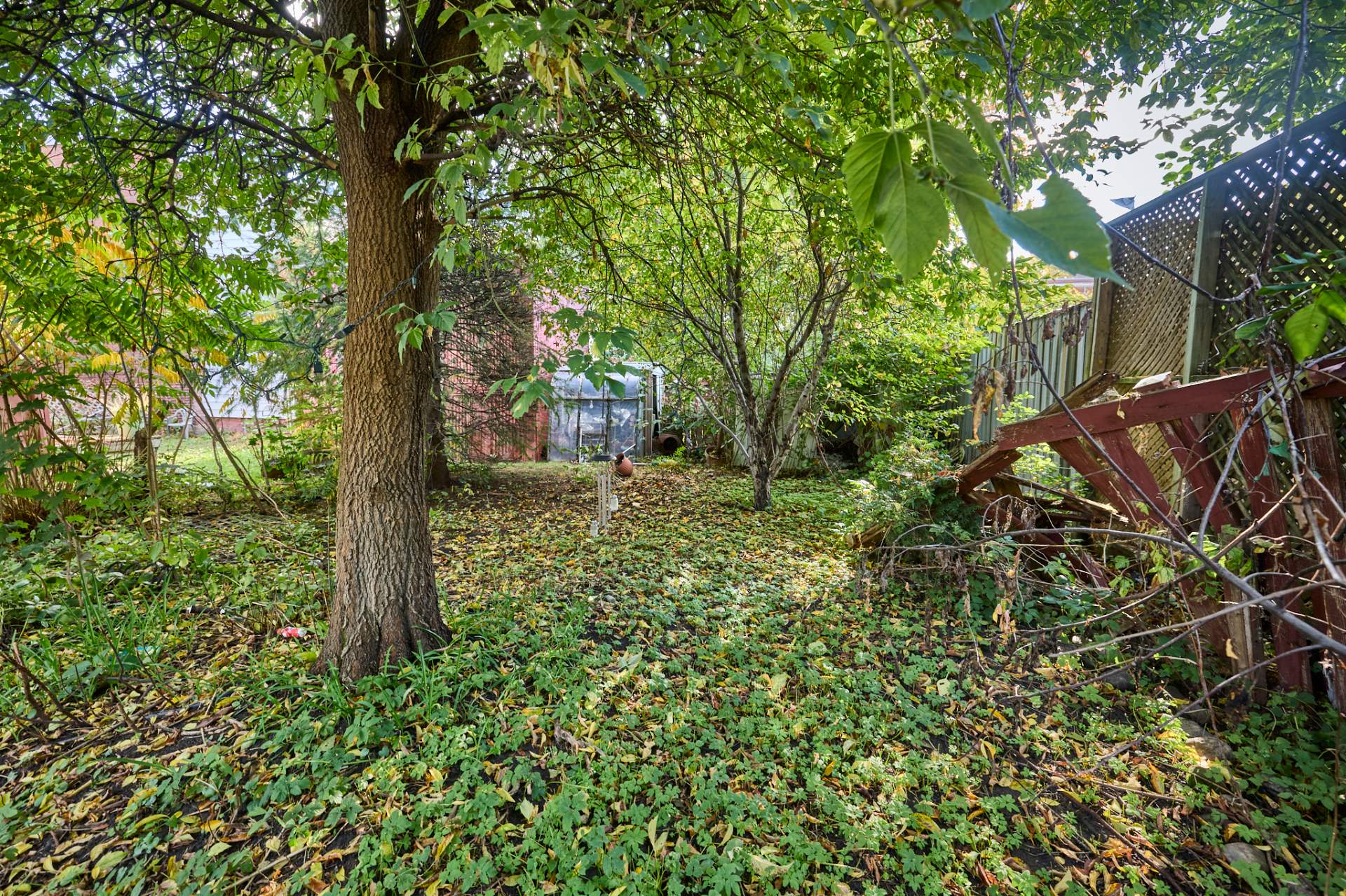 Backyard