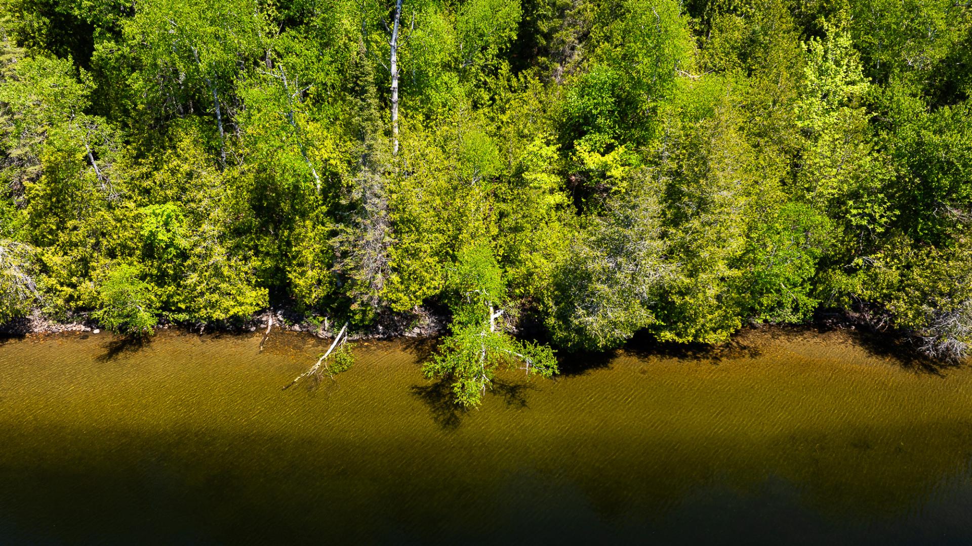 Bord de l'eau