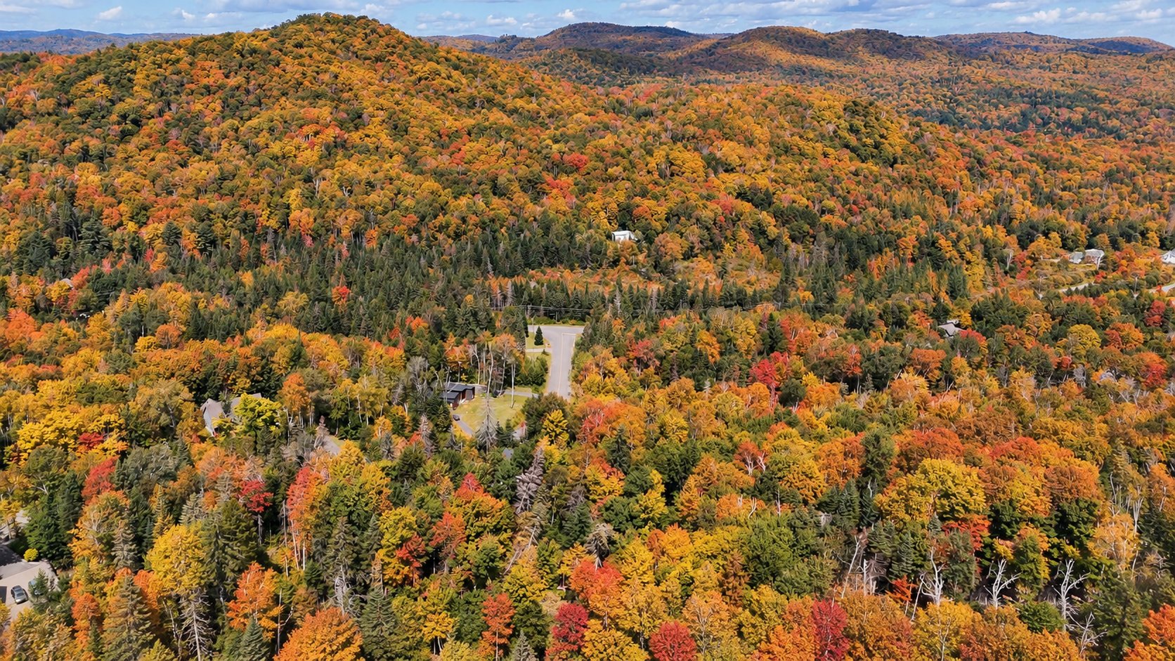 Aerial photo
