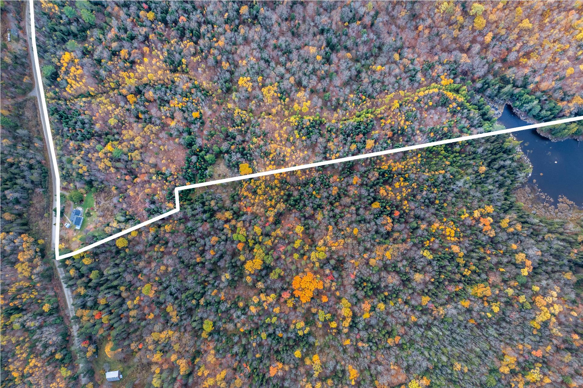 Aerial photo