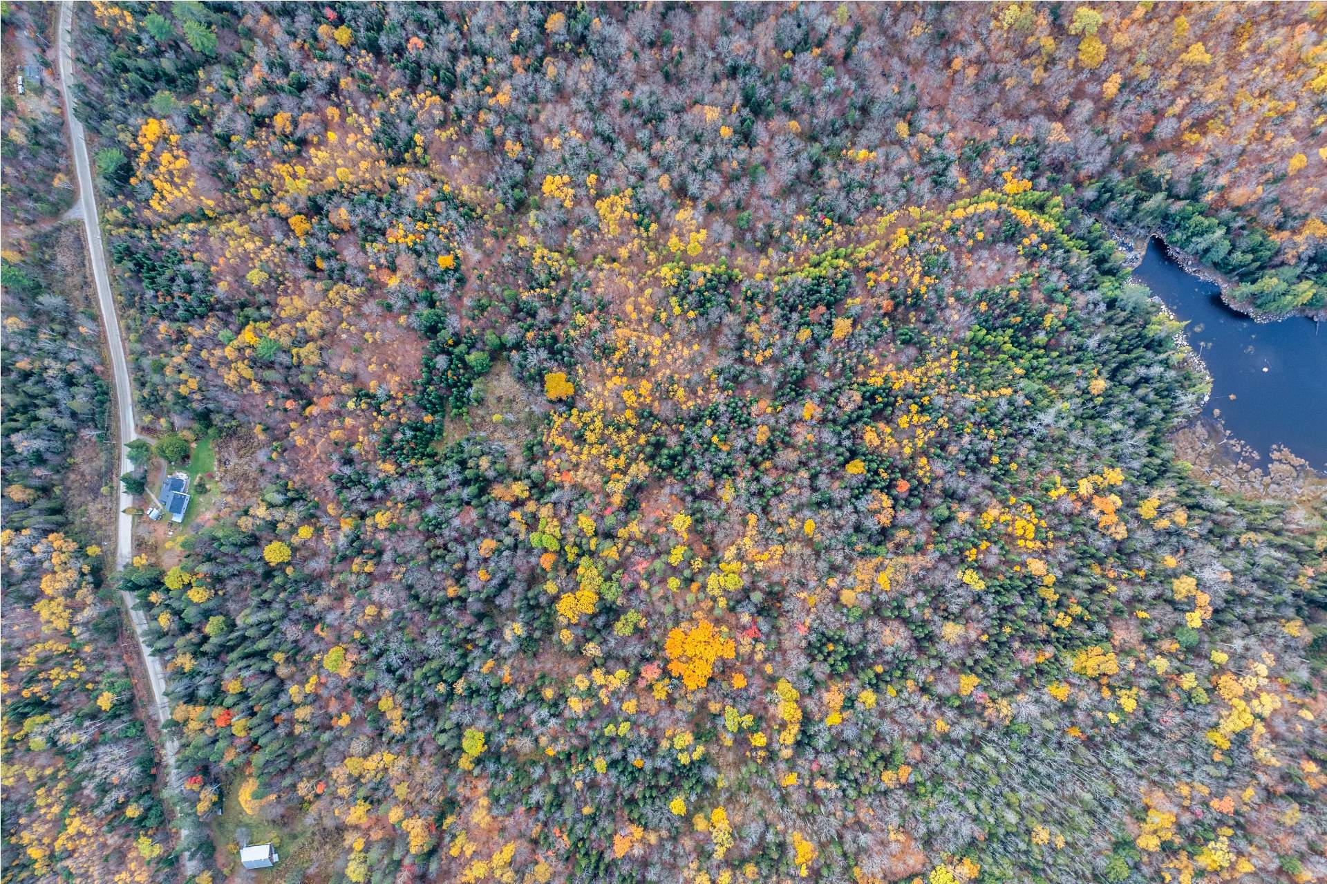 Aerial photo
