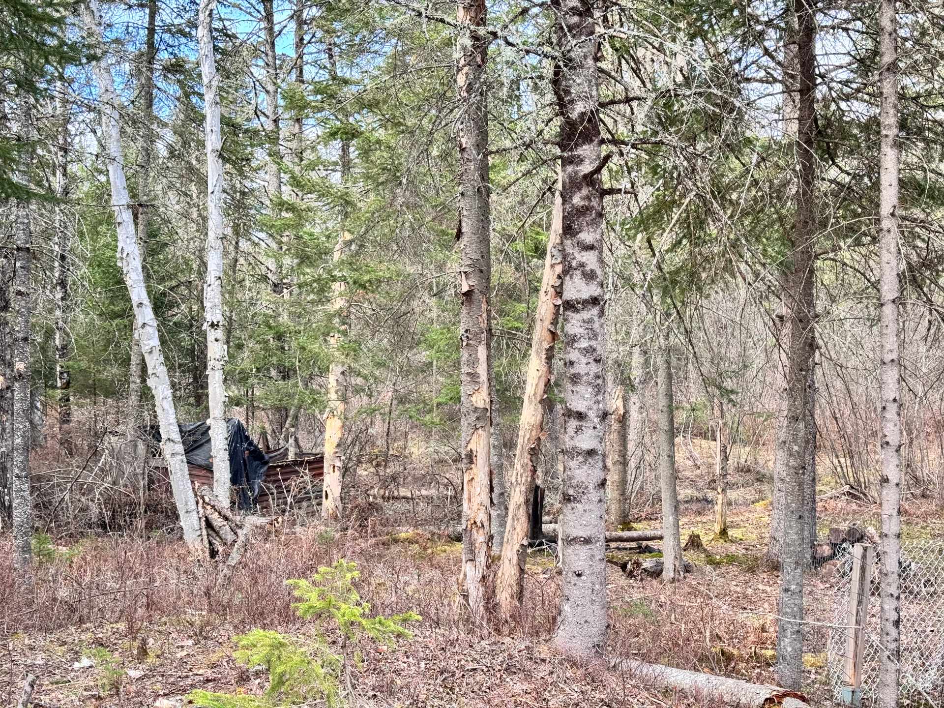 Land/Lot