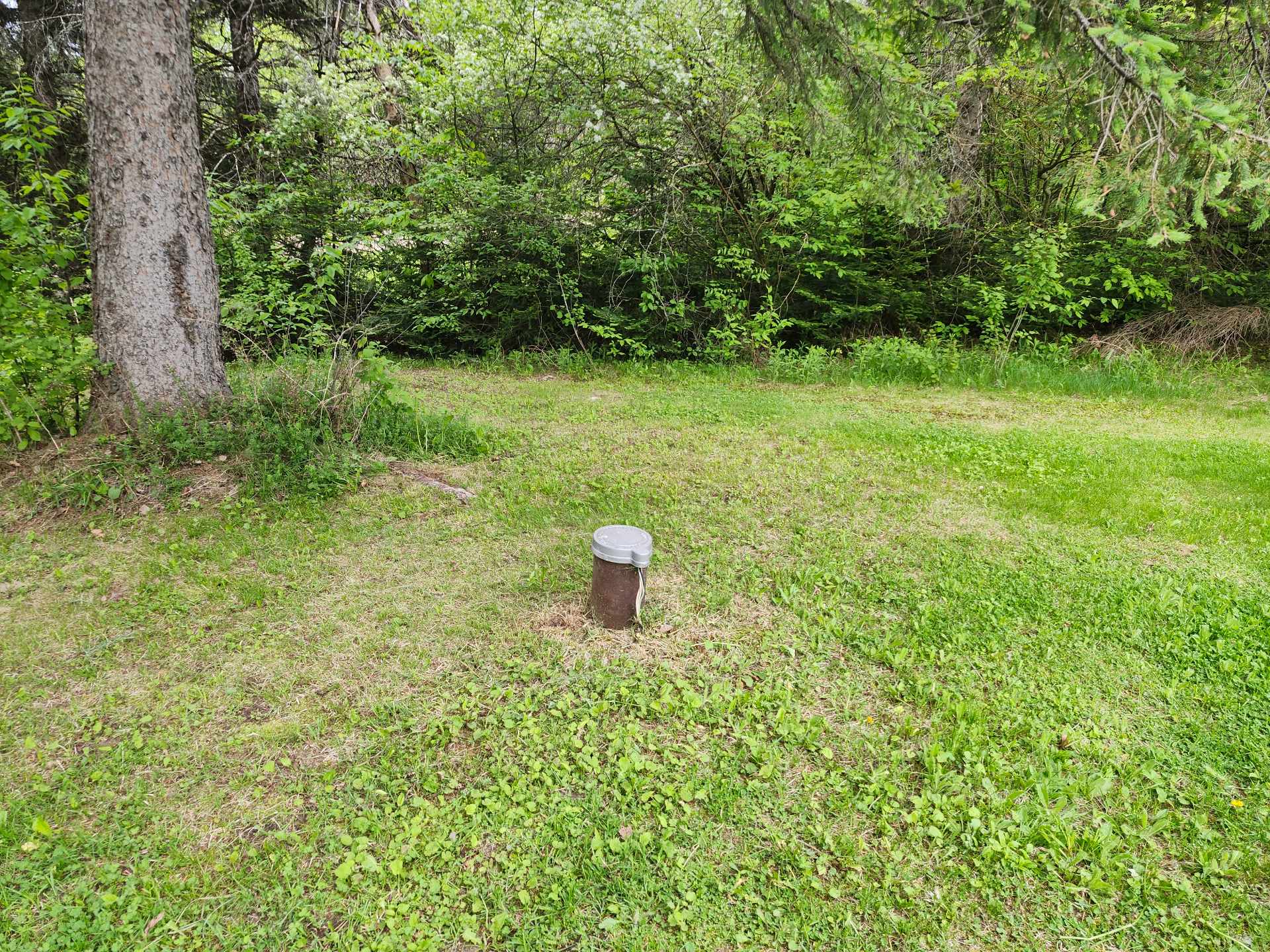 Artesian well
