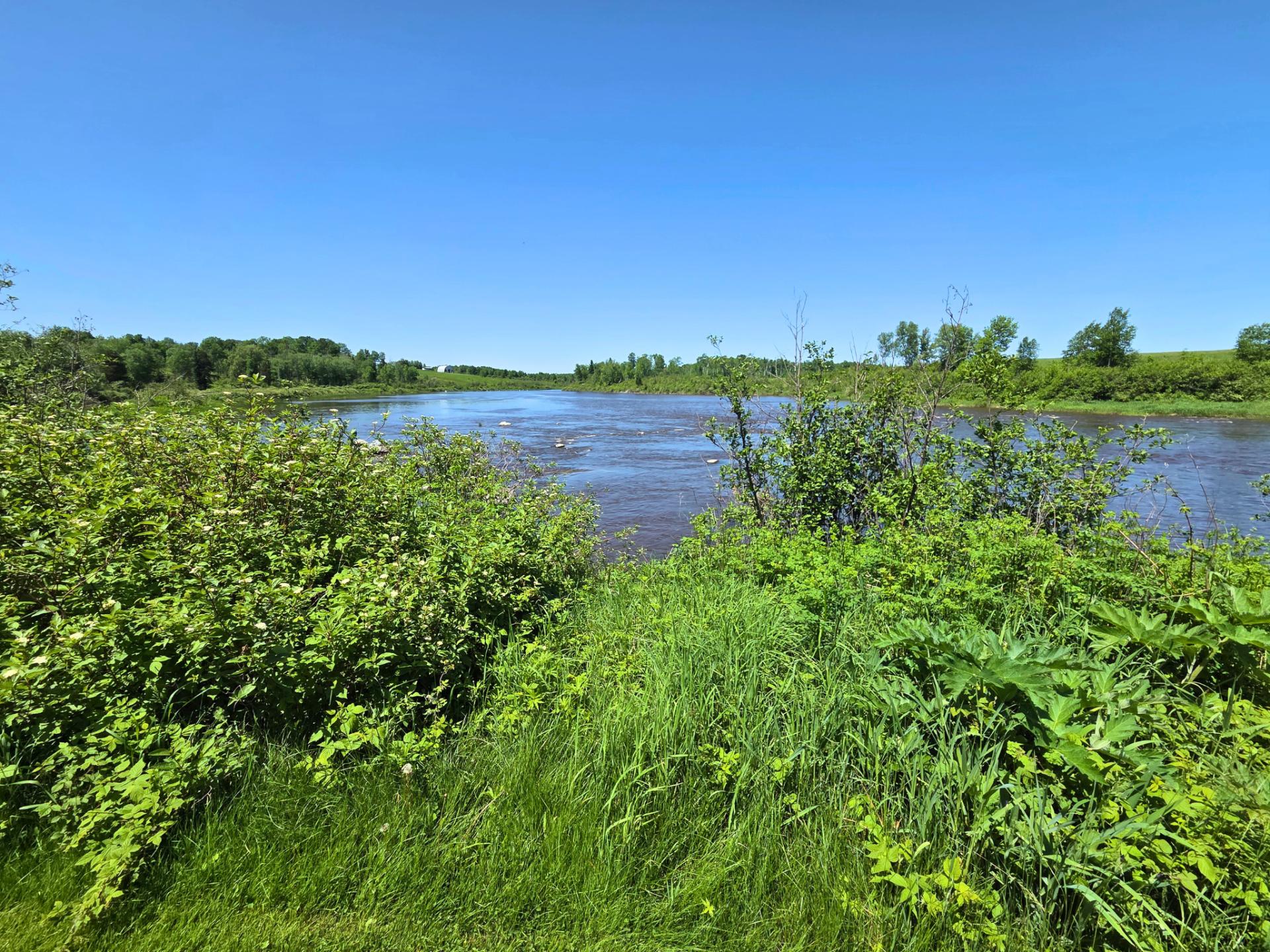 Accès au plan d'eau