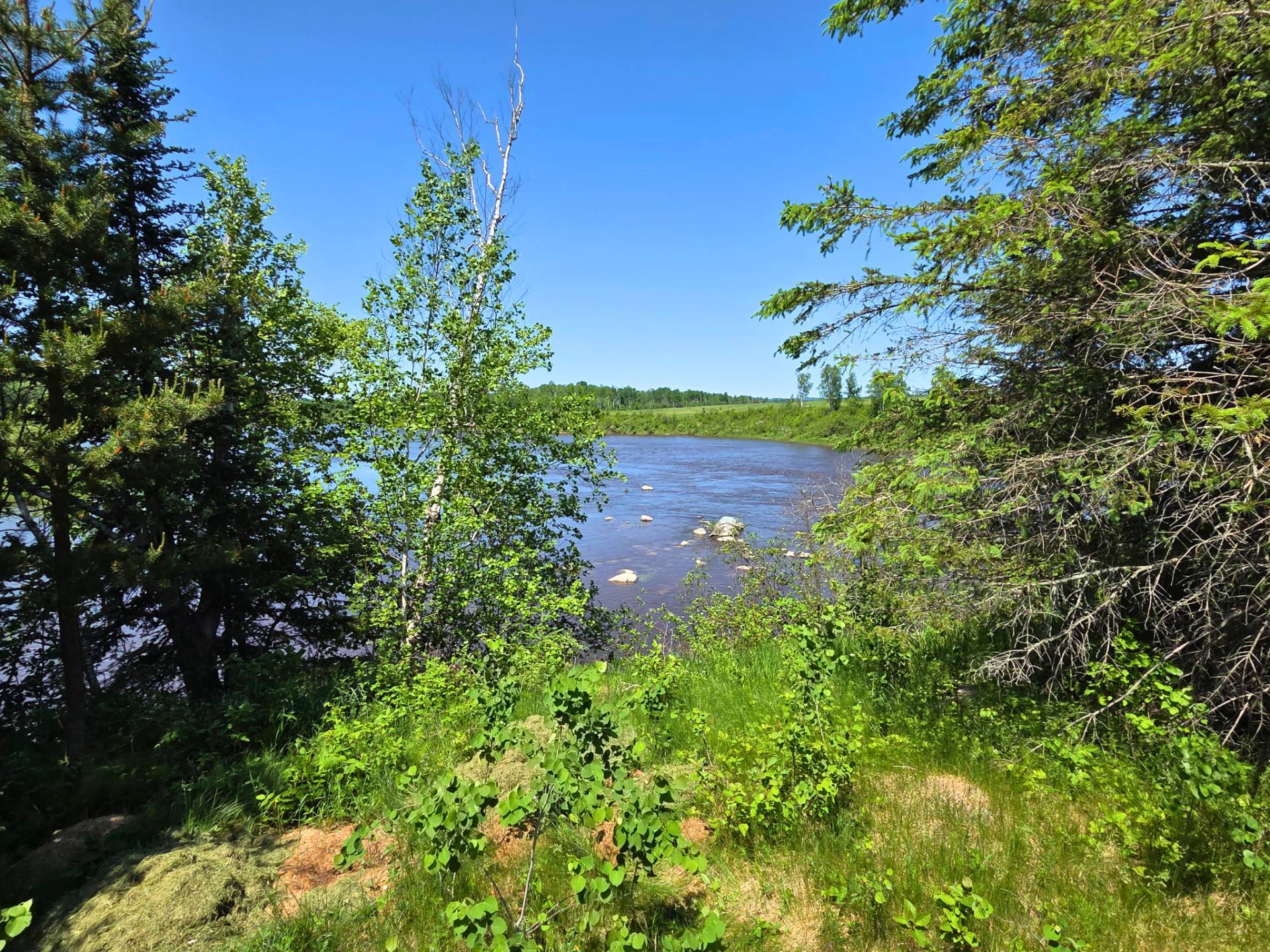 Vue sur l'eau