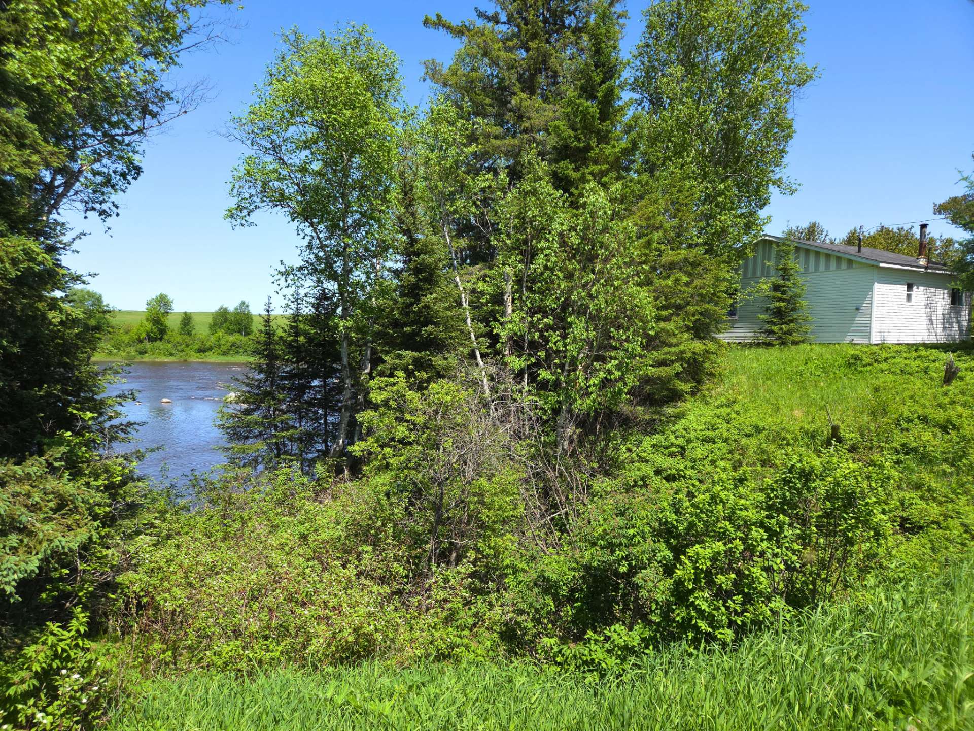 Nord du terrain