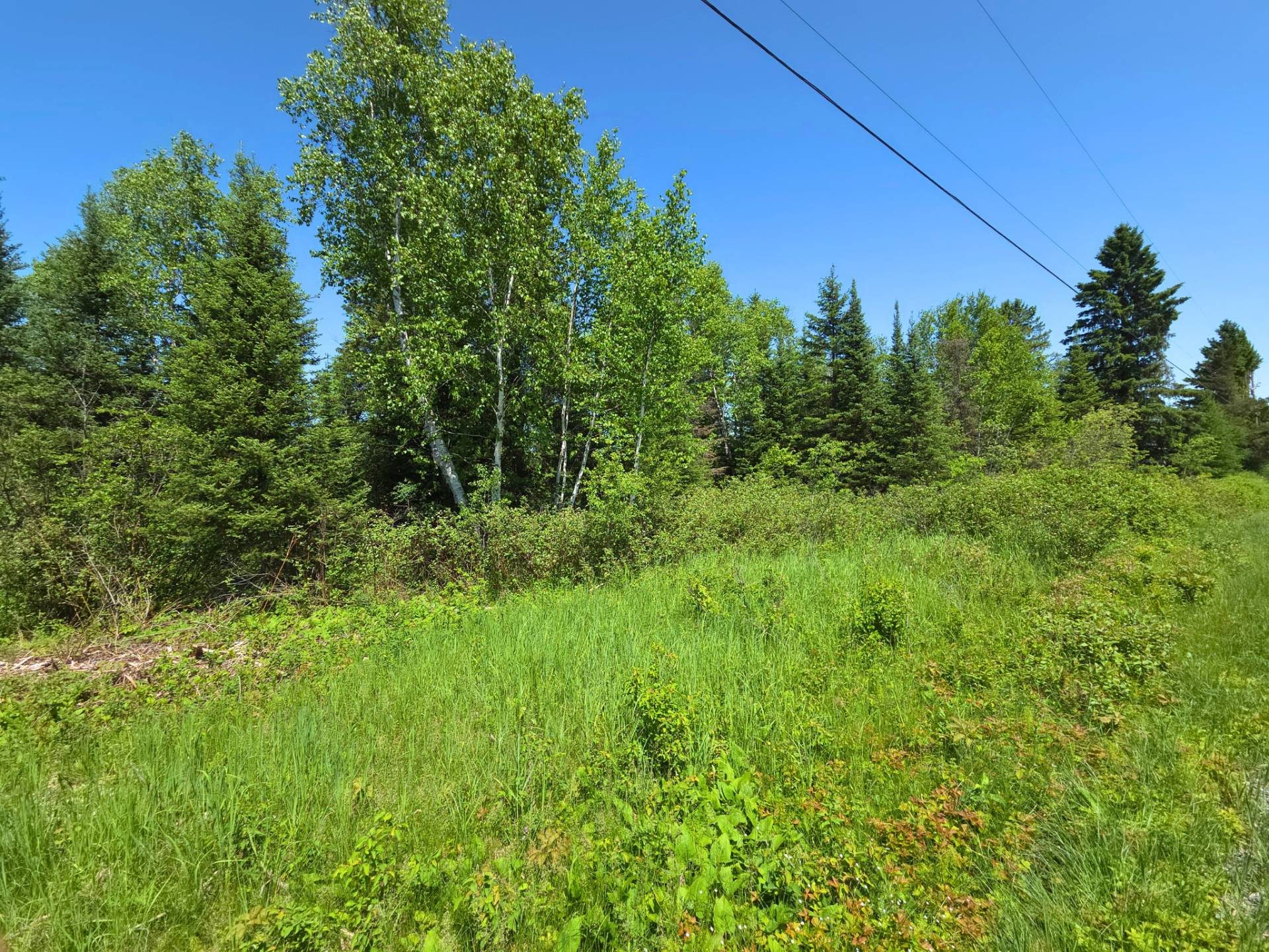Nord du terrain