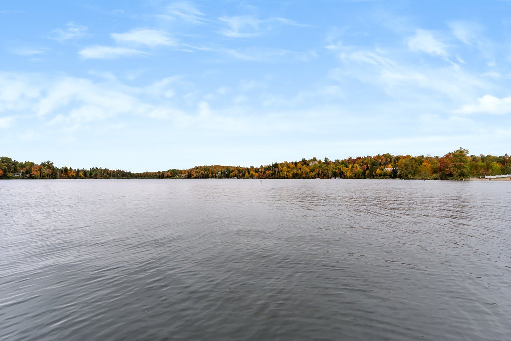 Bord de l'eau