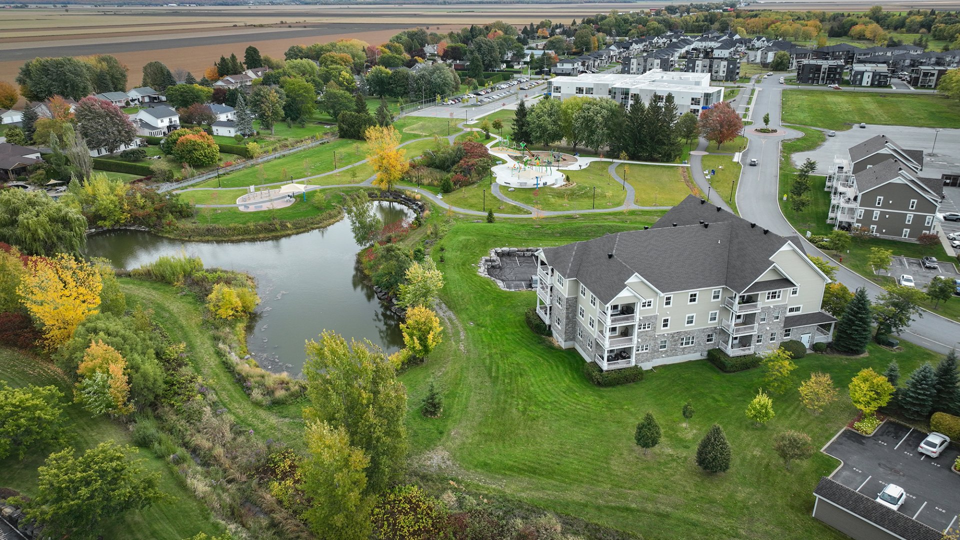 Overall View