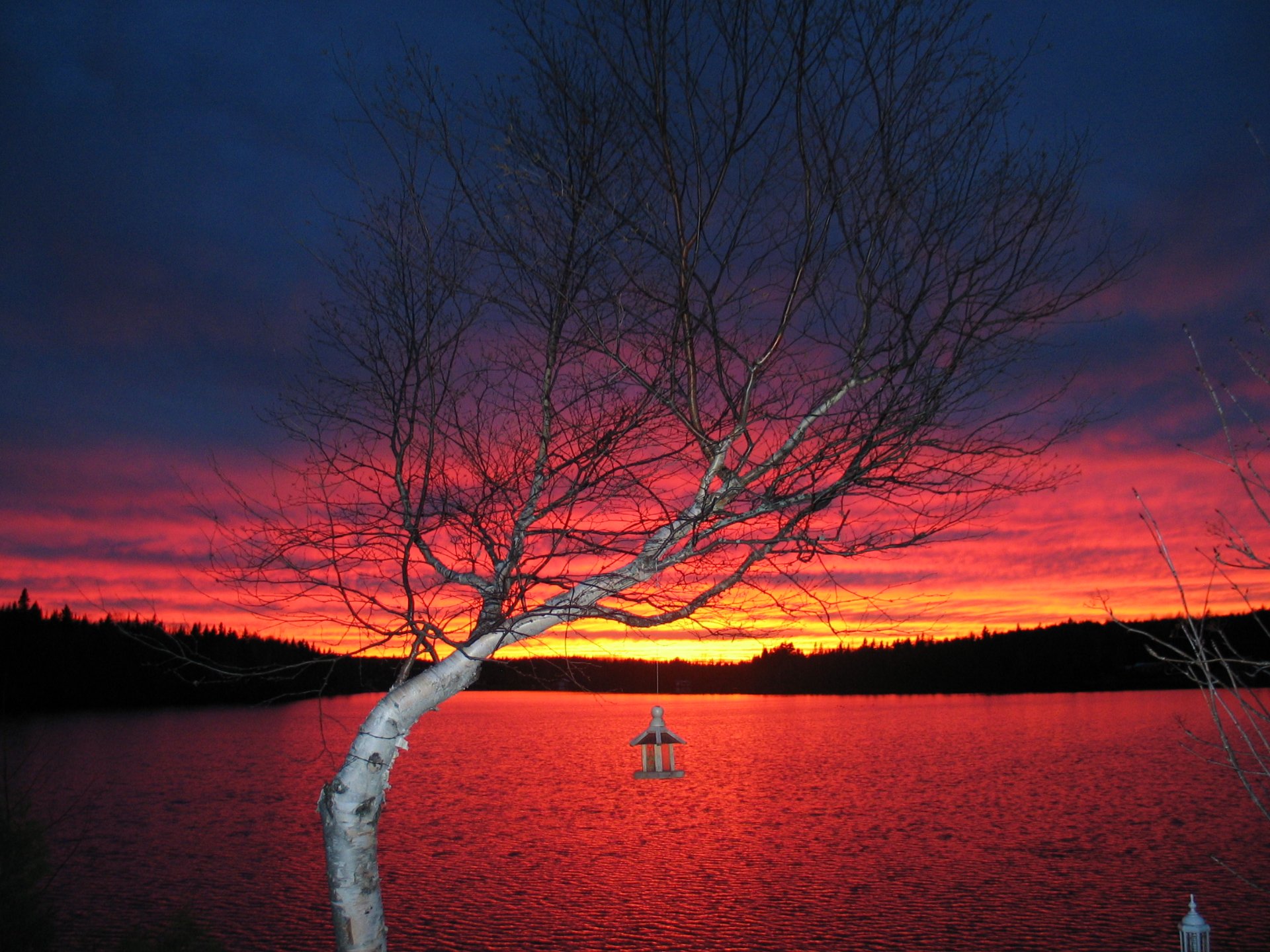 Water view