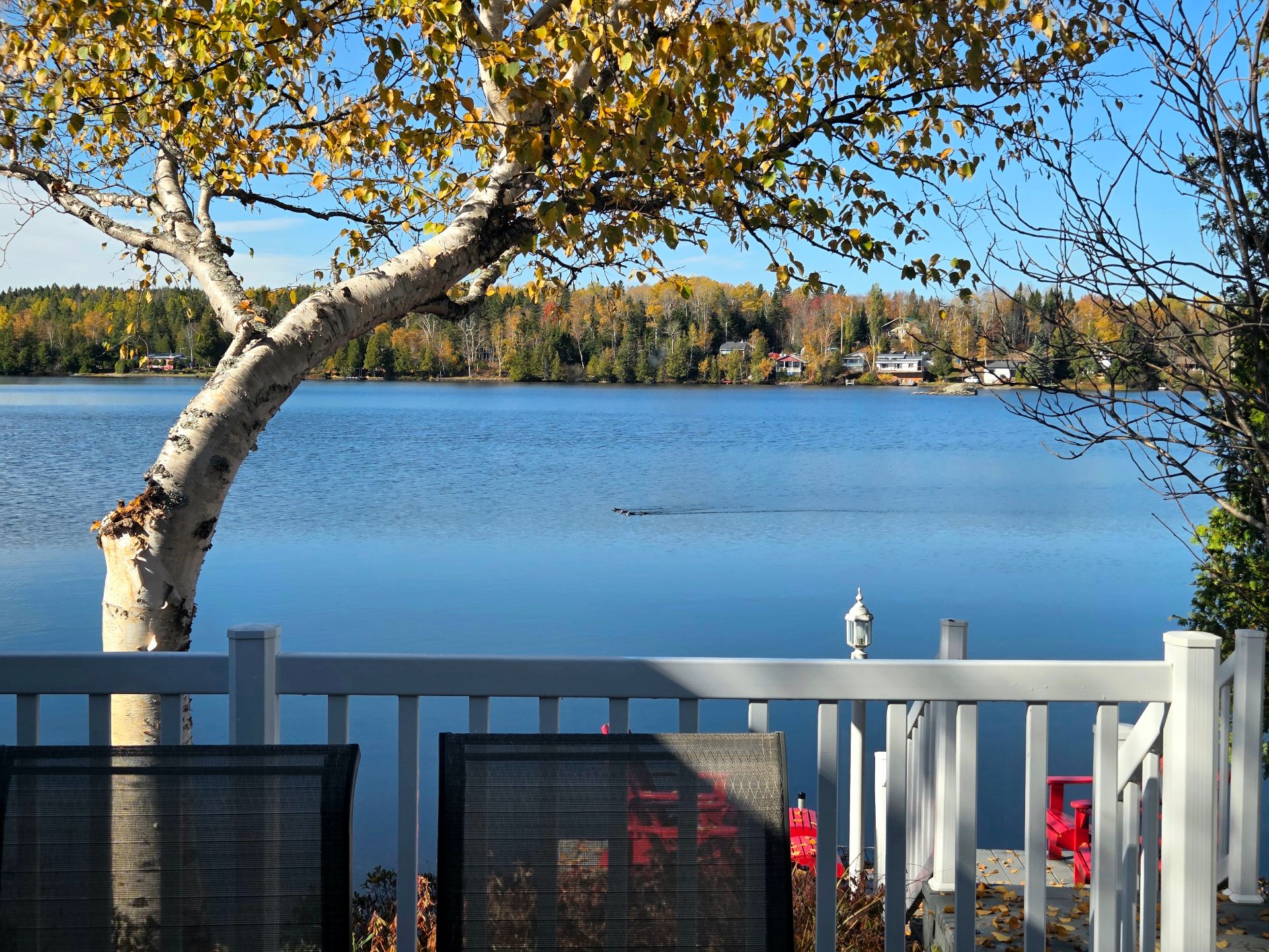 Water view