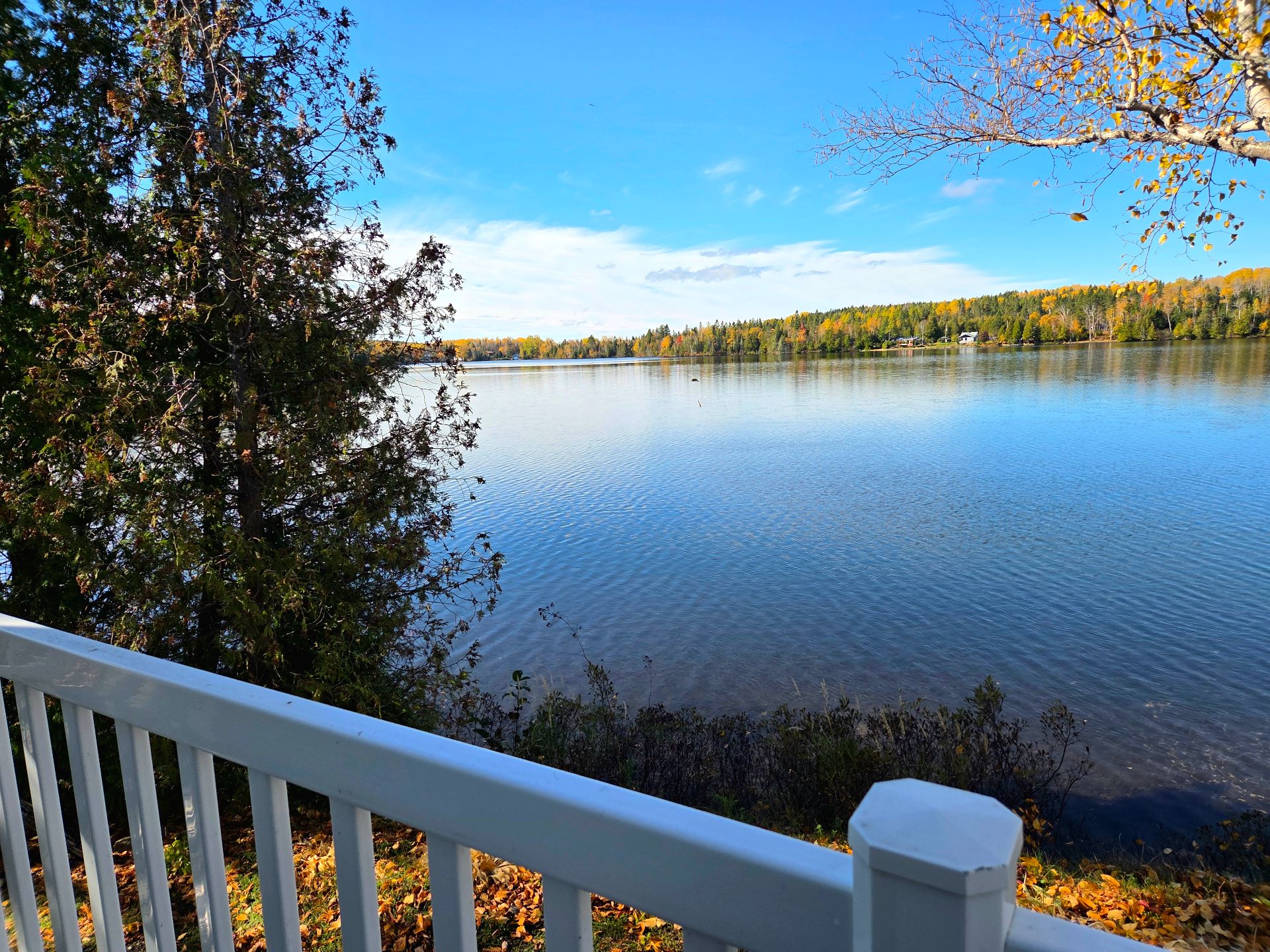 Water view