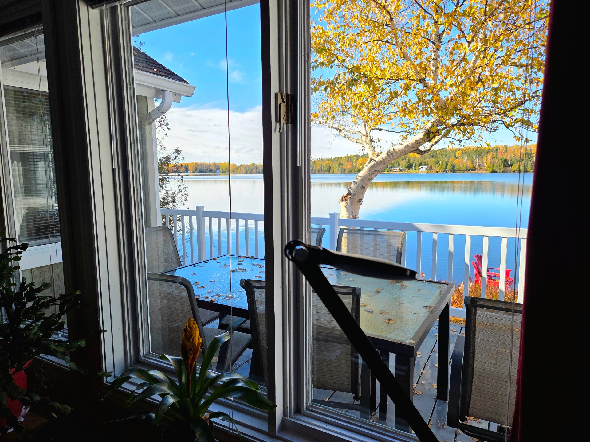 Water view