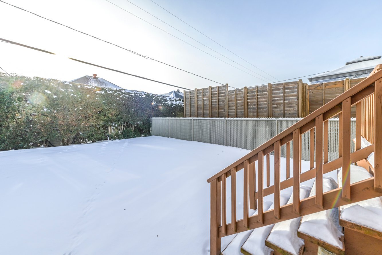 Haies de cèdres et clôtures