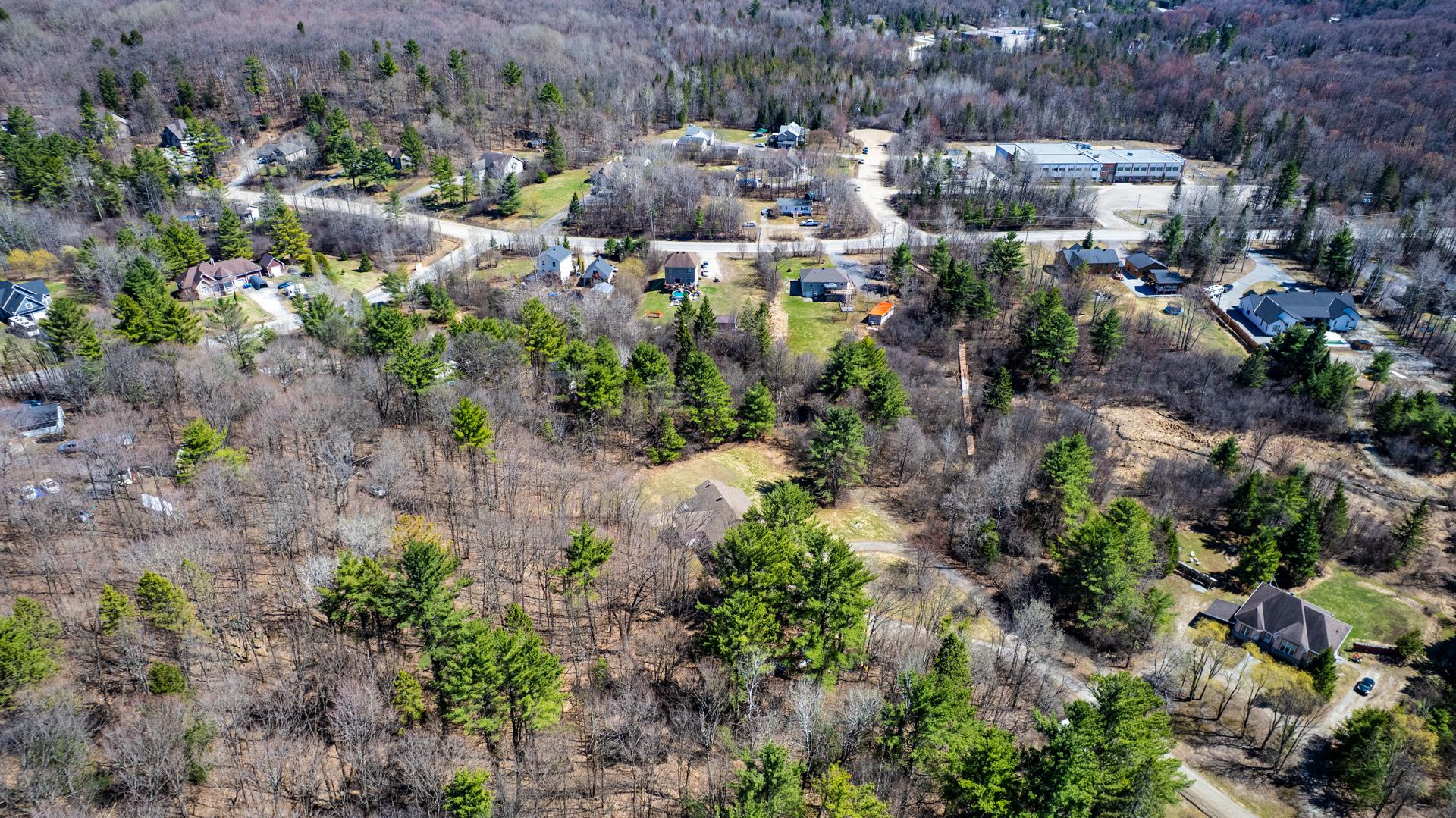 Overall View
