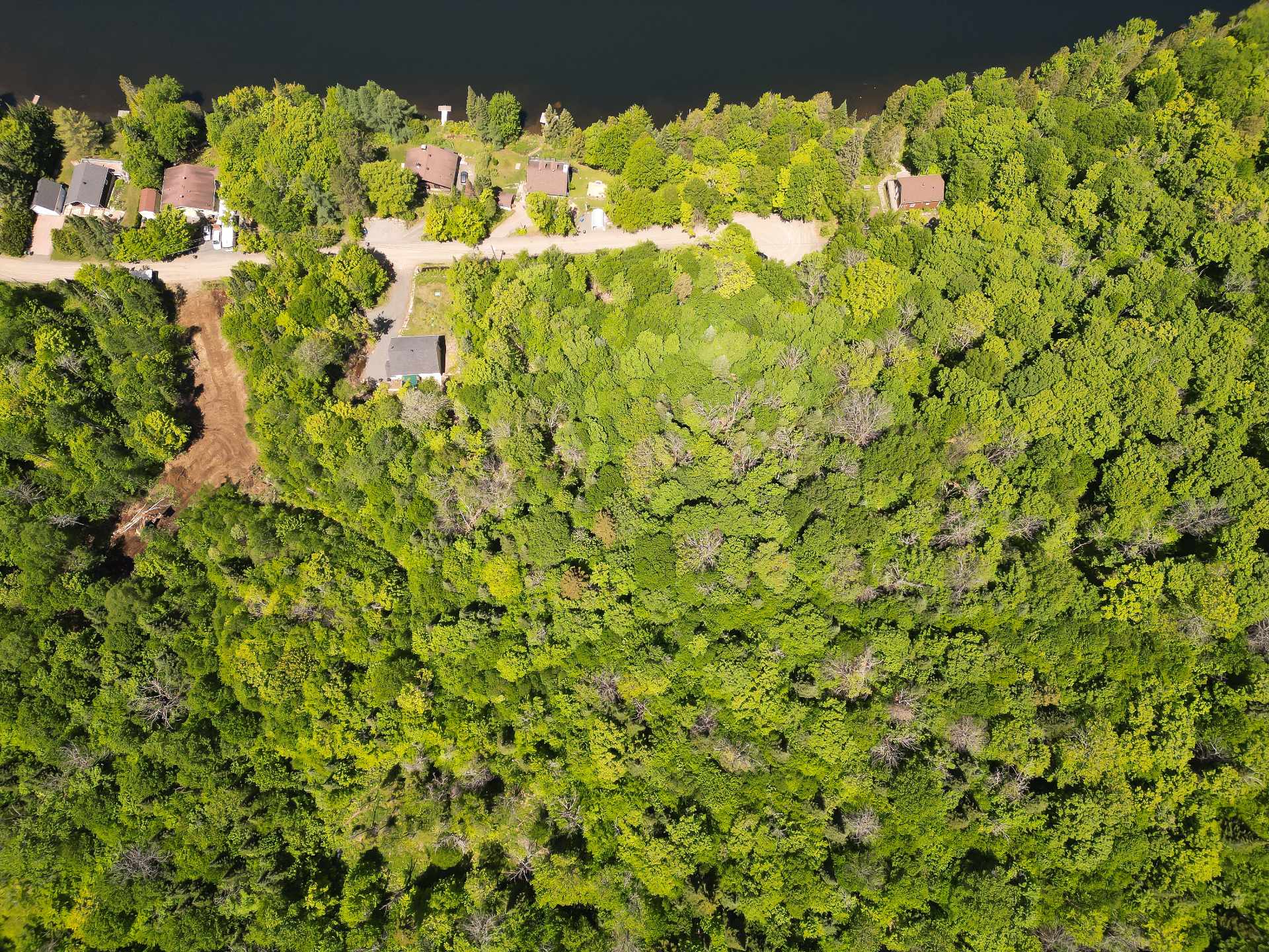 Aerial photo