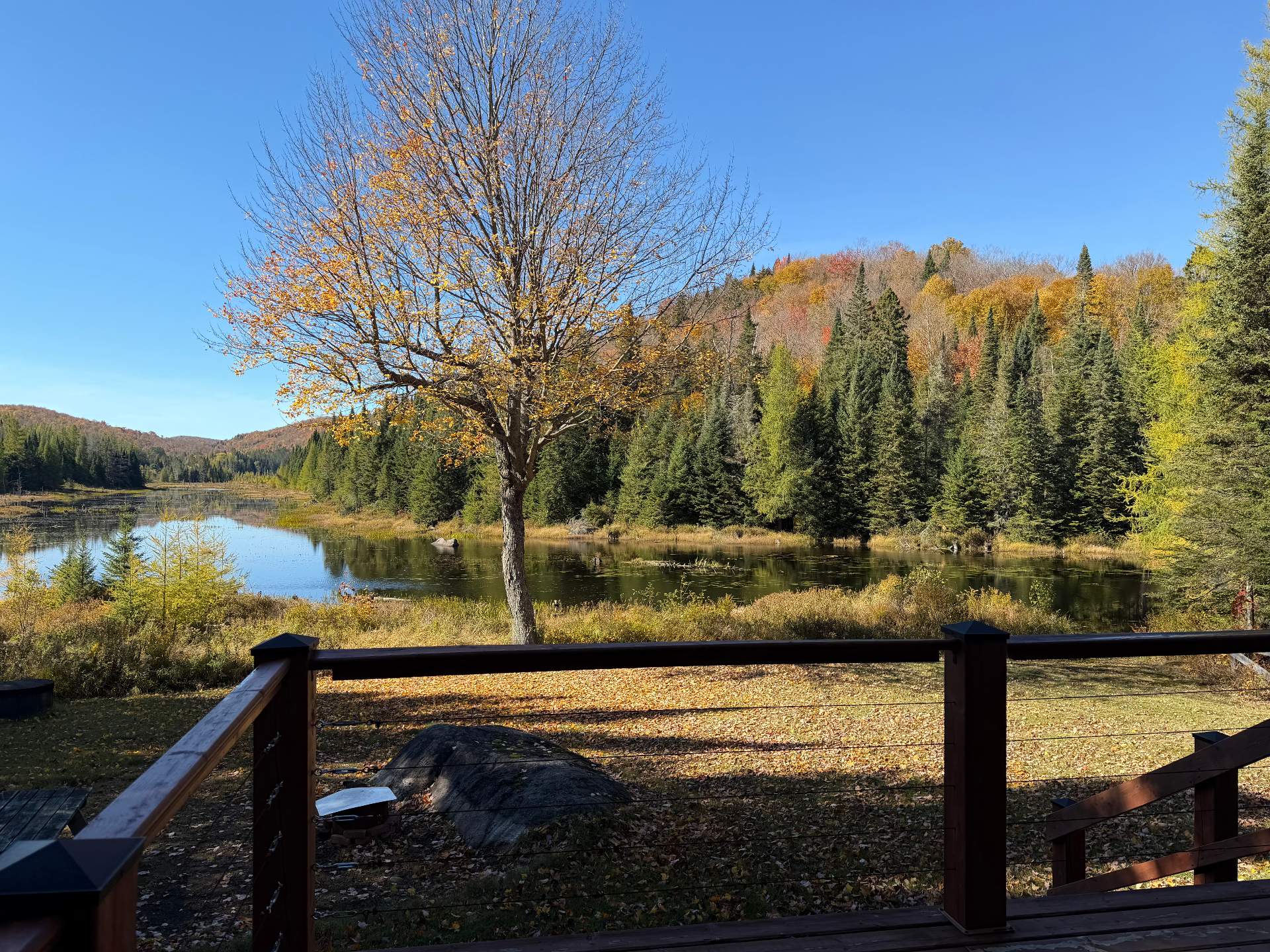 Water view