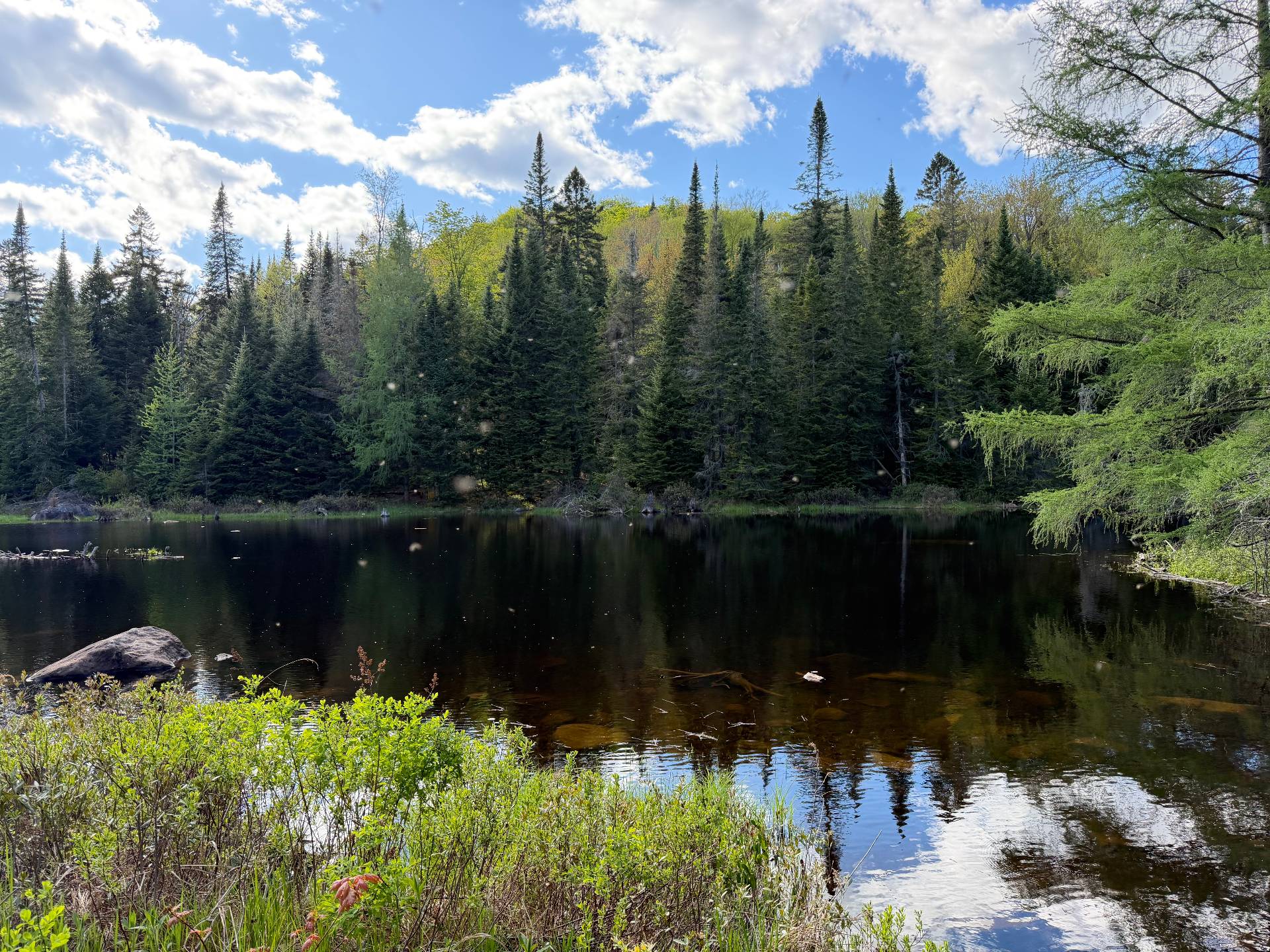 View of the mountain and the water