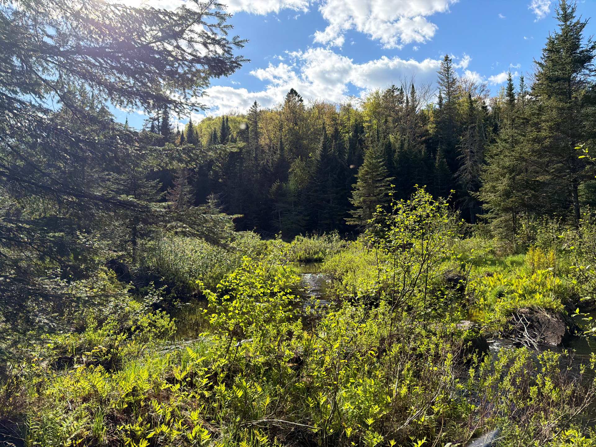 stream