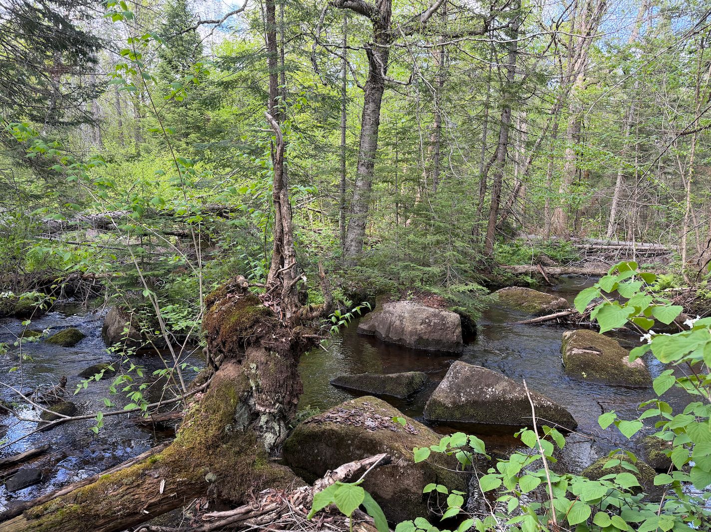 stream