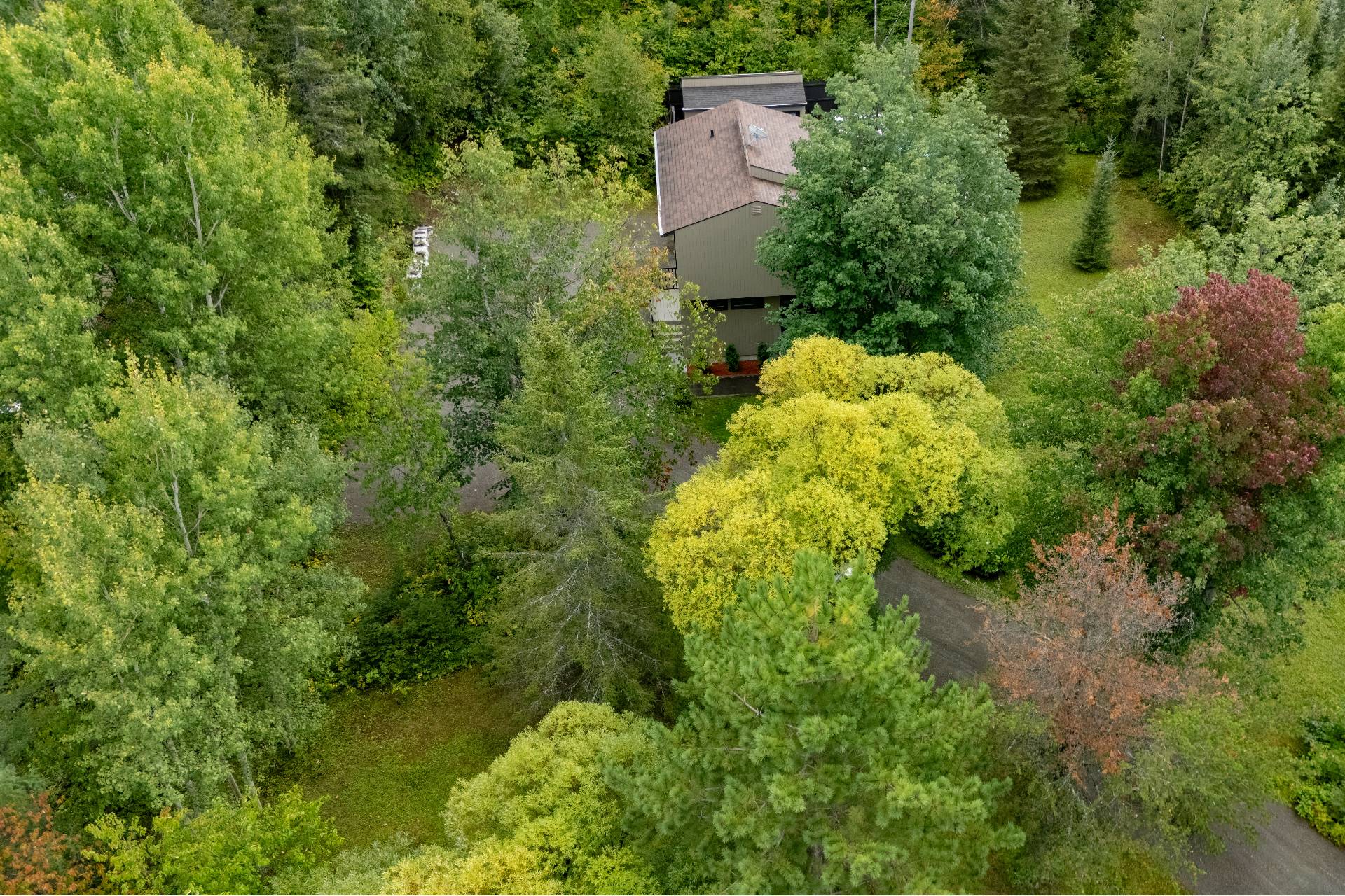 Aerial photo