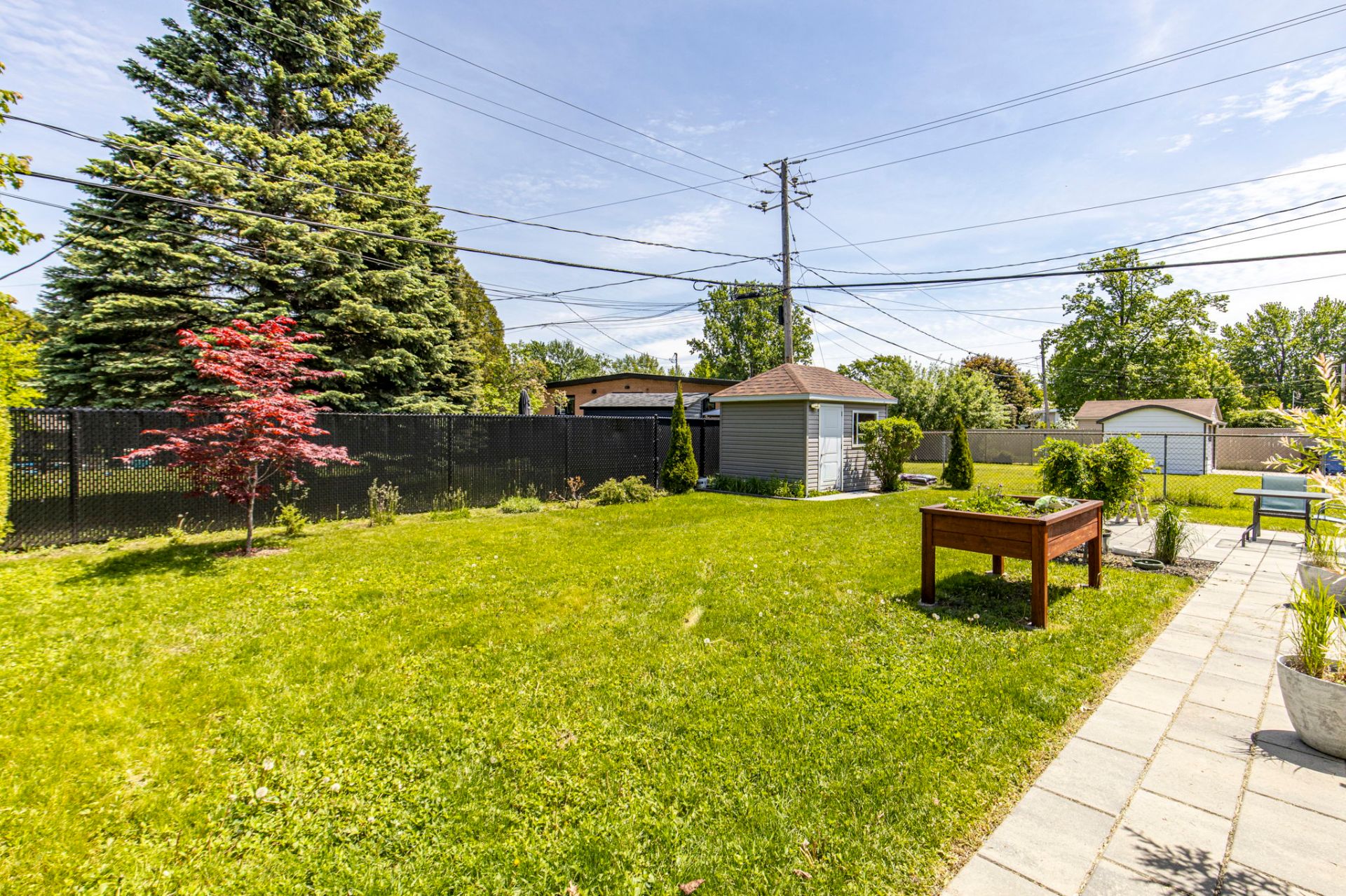 Backyard