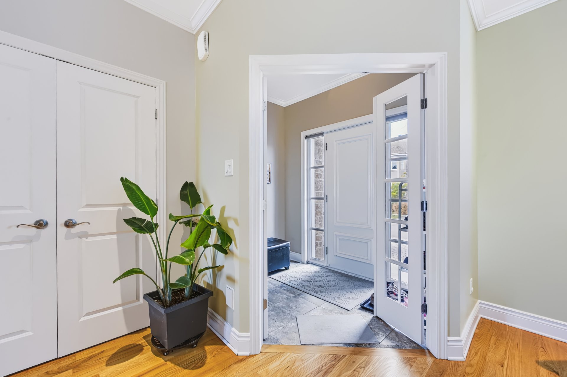 Hall d'entrée/Vestibule