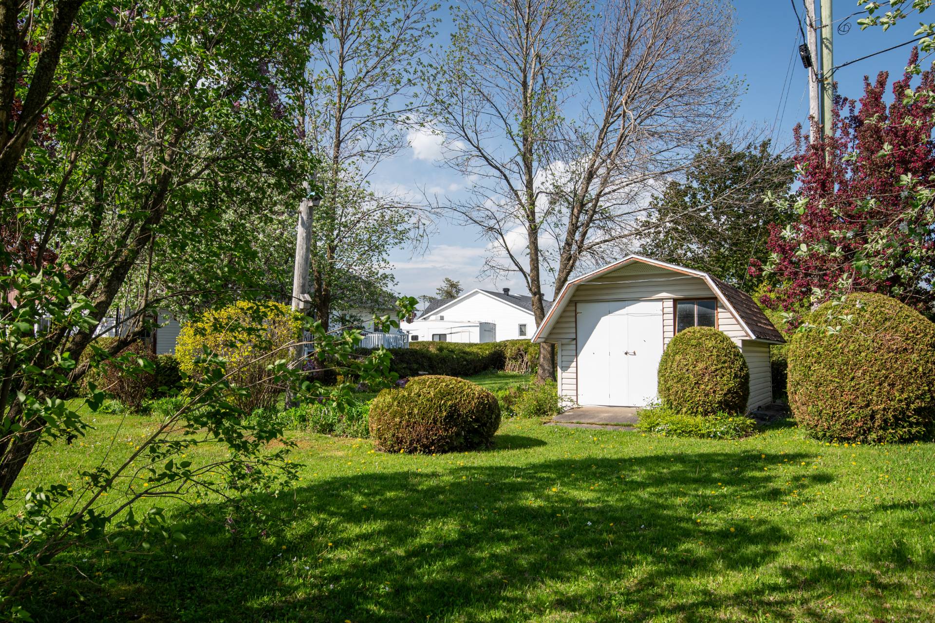 Shed