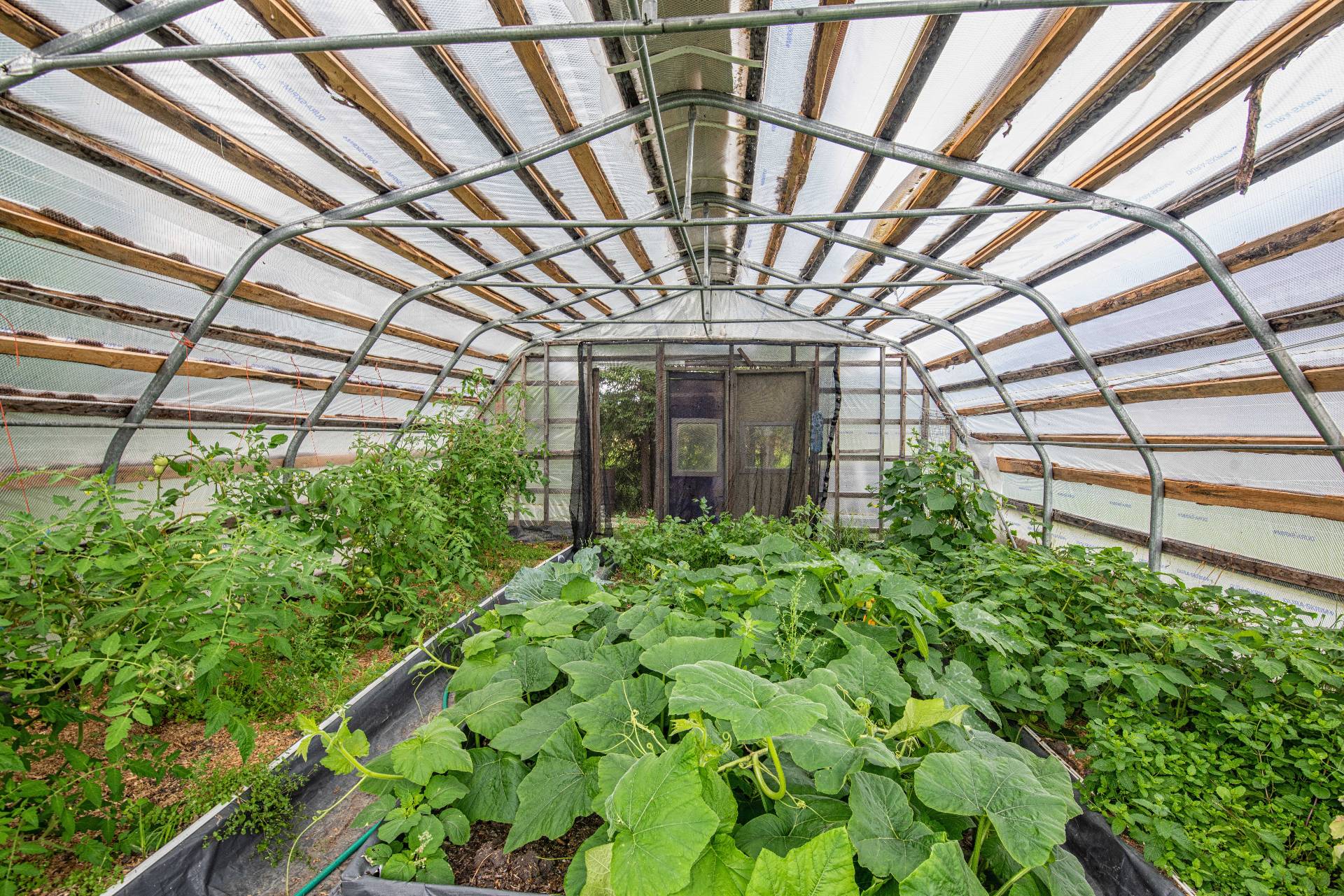Greenhouse