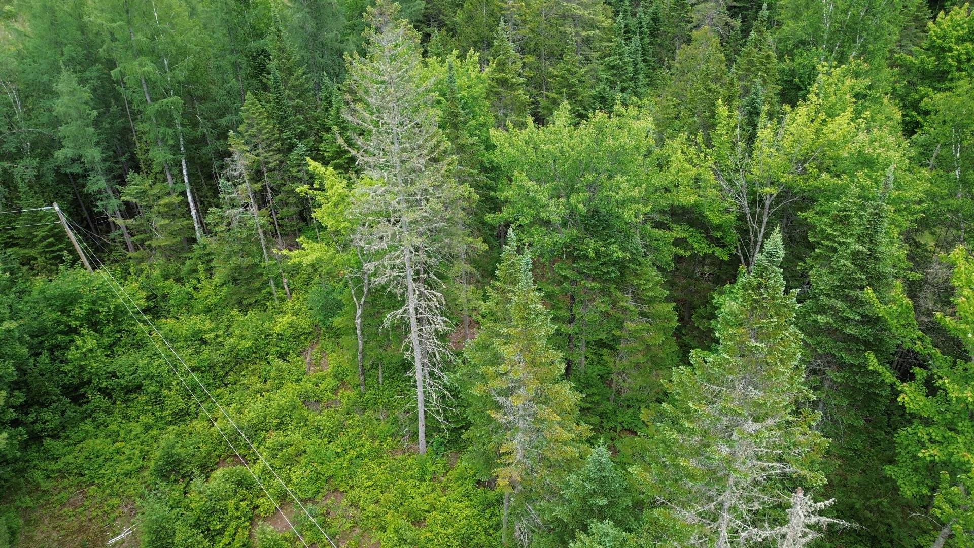 Terre/Terrain