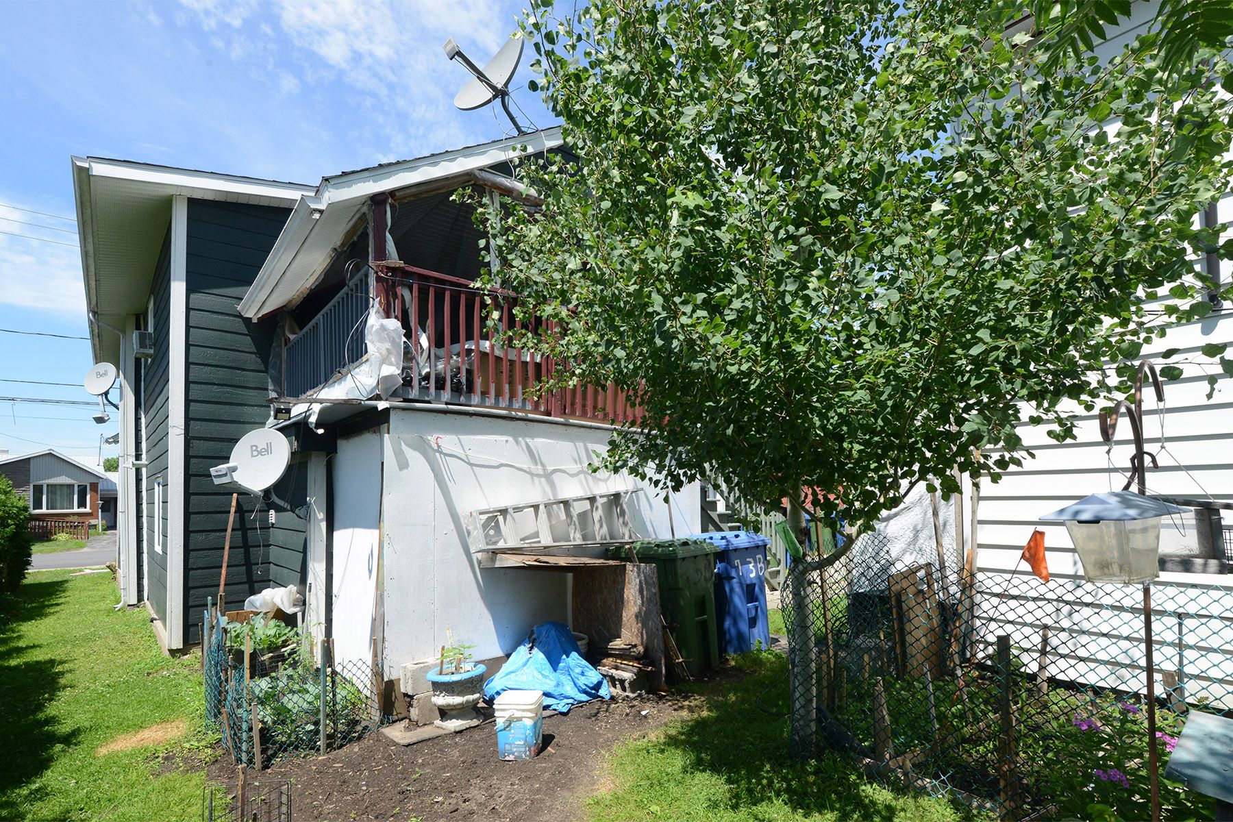 Backyard