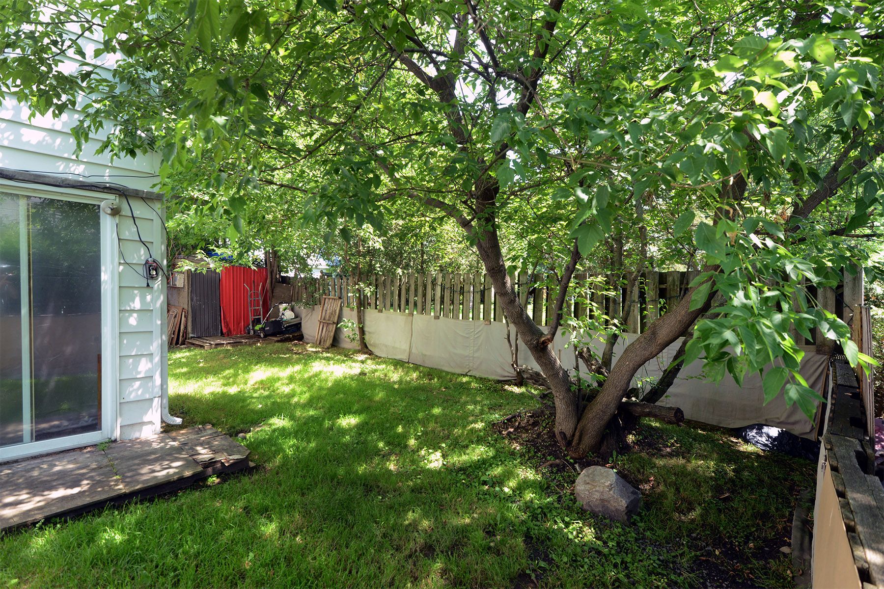 Backyard