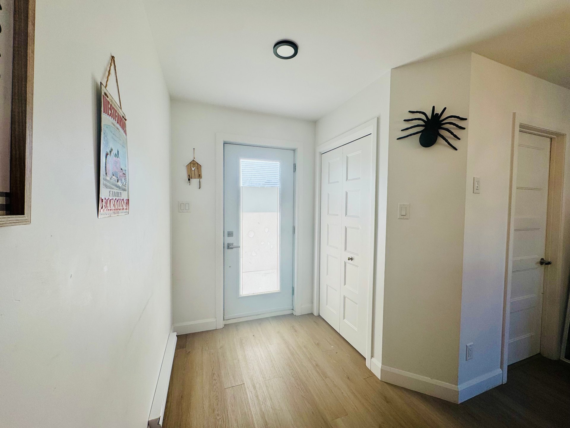 Hall d'entrée/Vestibule