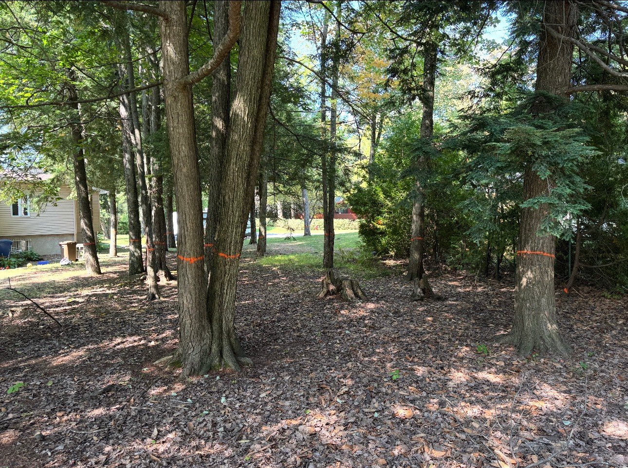 Land/Lot