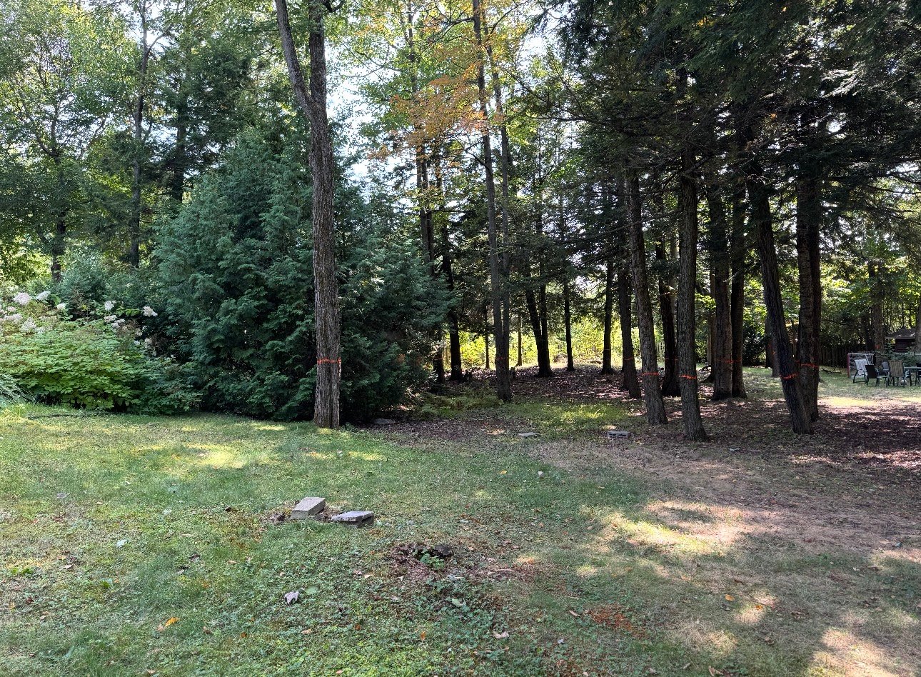 Land/Lot