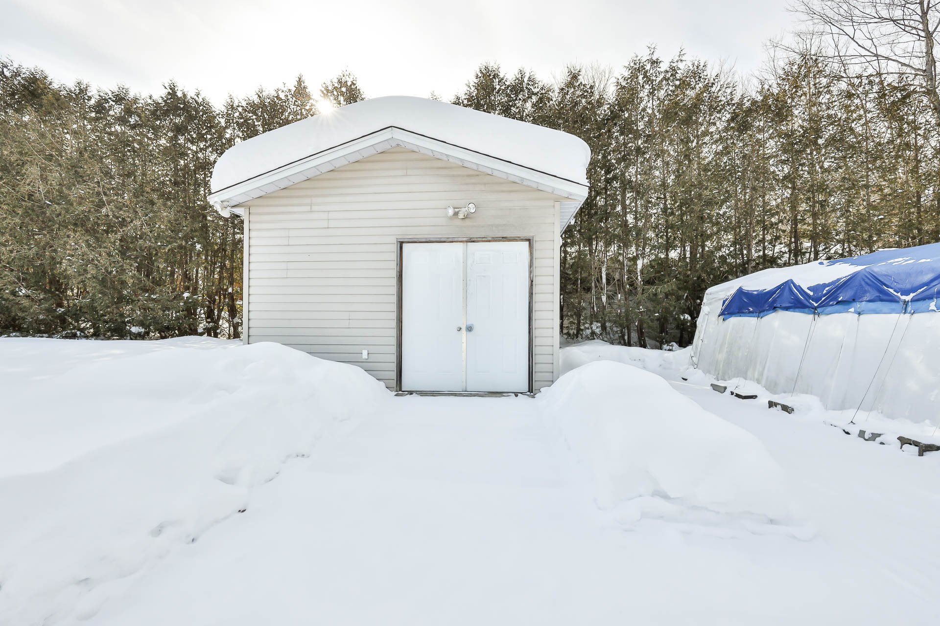 Shed