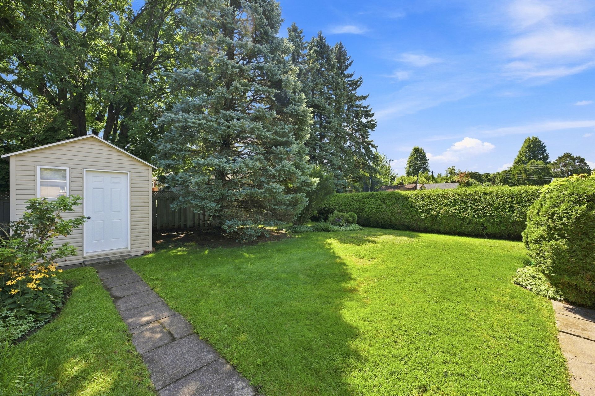 Backyard