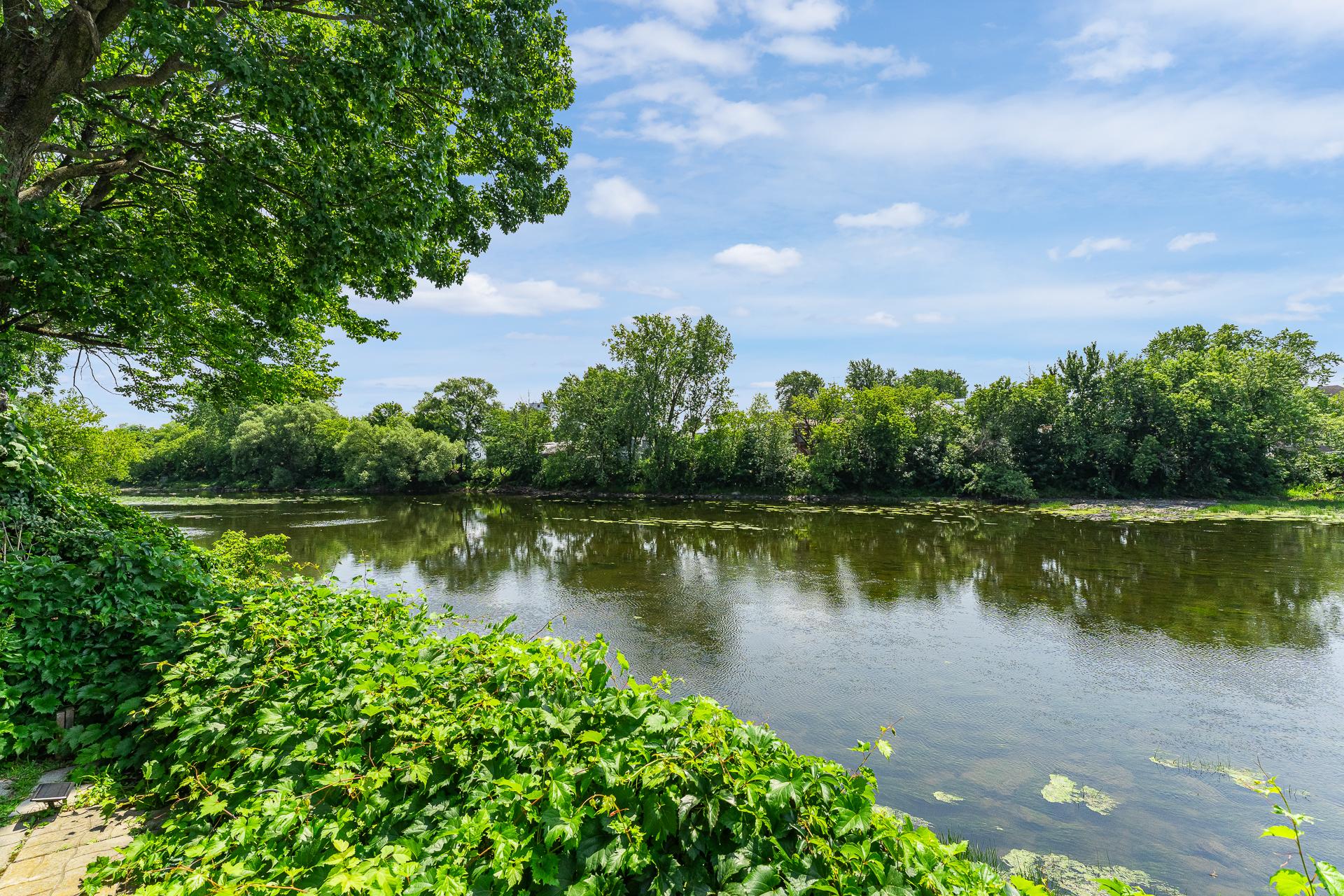 Vue sur l'eau